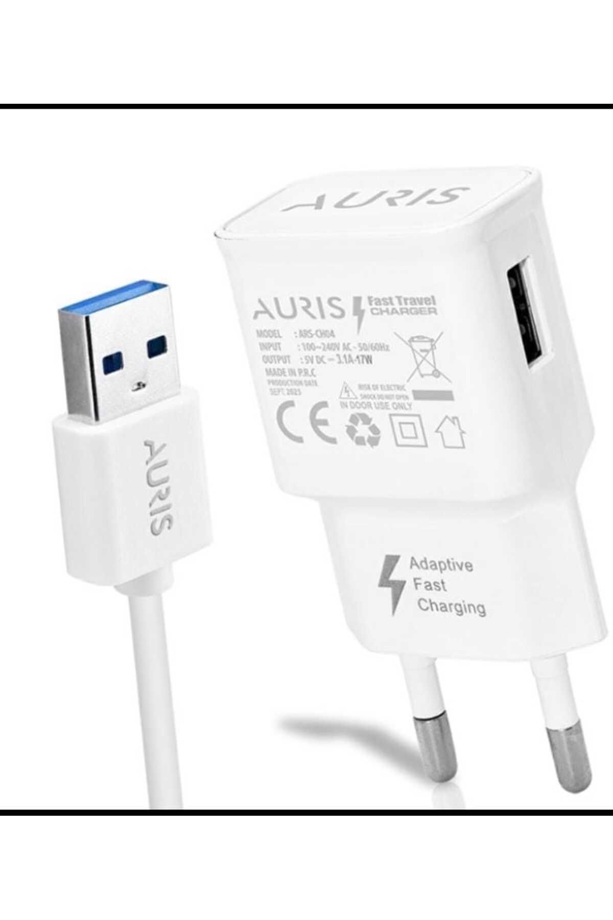 Auris CH04 15W 3.1A Micro Şarj Aleti Seti