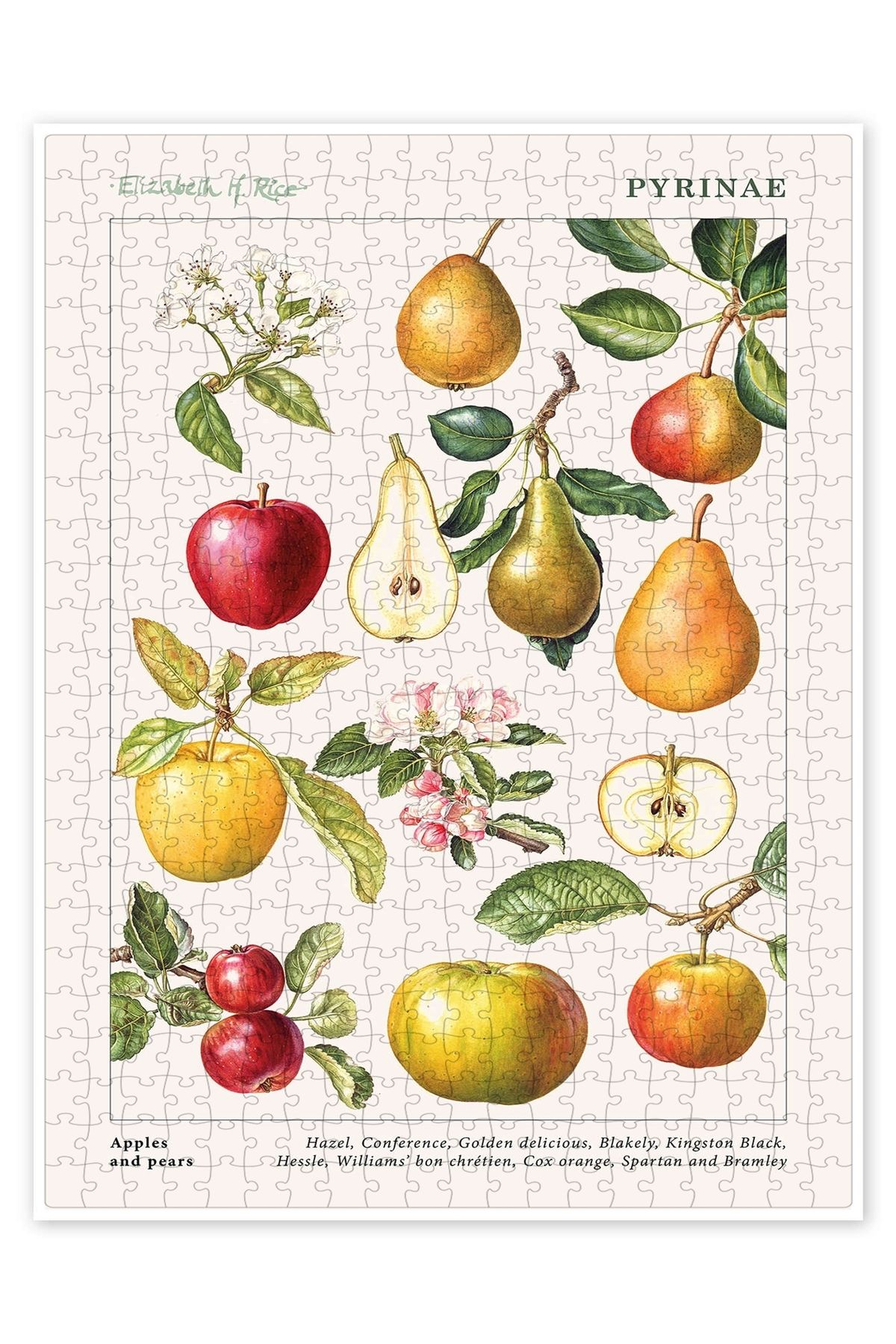 Jeronkarji Elmalar ve Armutlar 500 Parça Puzzle Yapboz Mutfak Temalı Yetişkinler için
