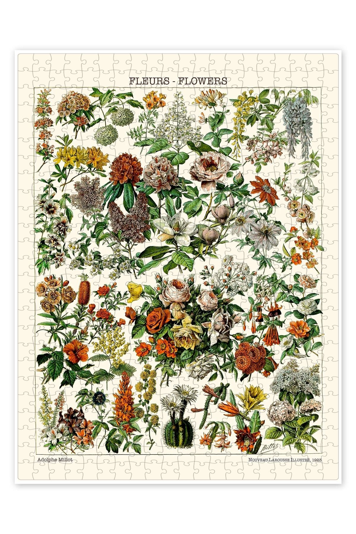 Jeronkarji Çiçekli Bitkiler, 1923 500 Parça Puzzle Yapboz Mutfak Temalı Yetişkinler için
