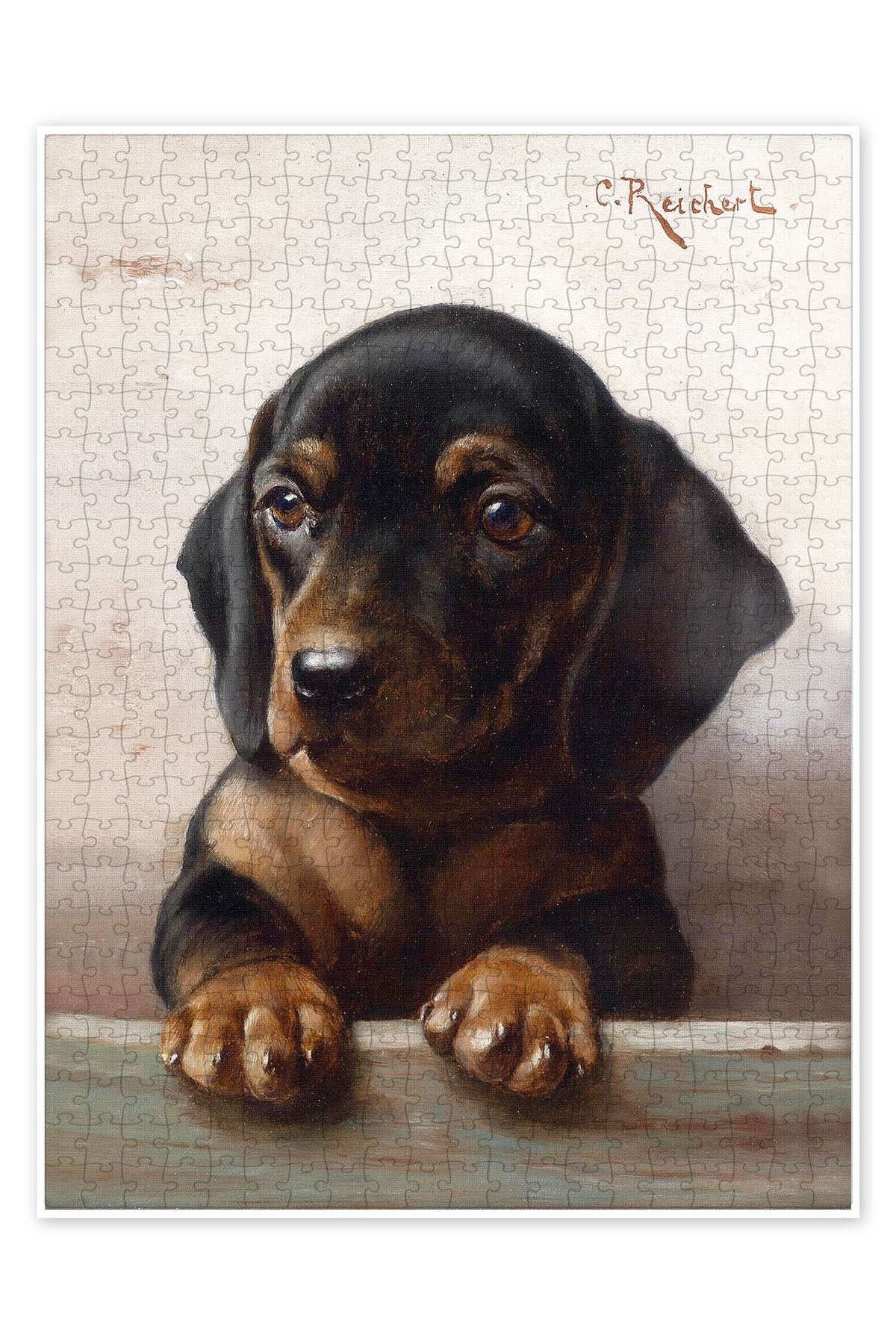 Jeronkarji Genç dachshund 500 Parça Puzzle Yapboz Kedi Köpek Temalı Doğa ve Orman Hayvanları