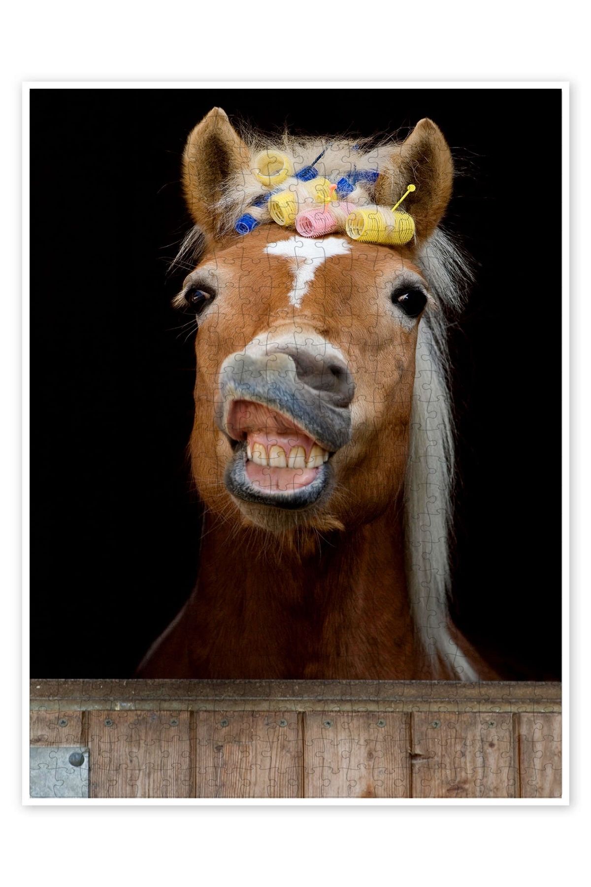 Jeronkarji Süslü Haflinger Kısrak Curlers 500 Parça Puzzle Yapboz Kedi Köpek Temalı Doğa ve Orman Hayvanları