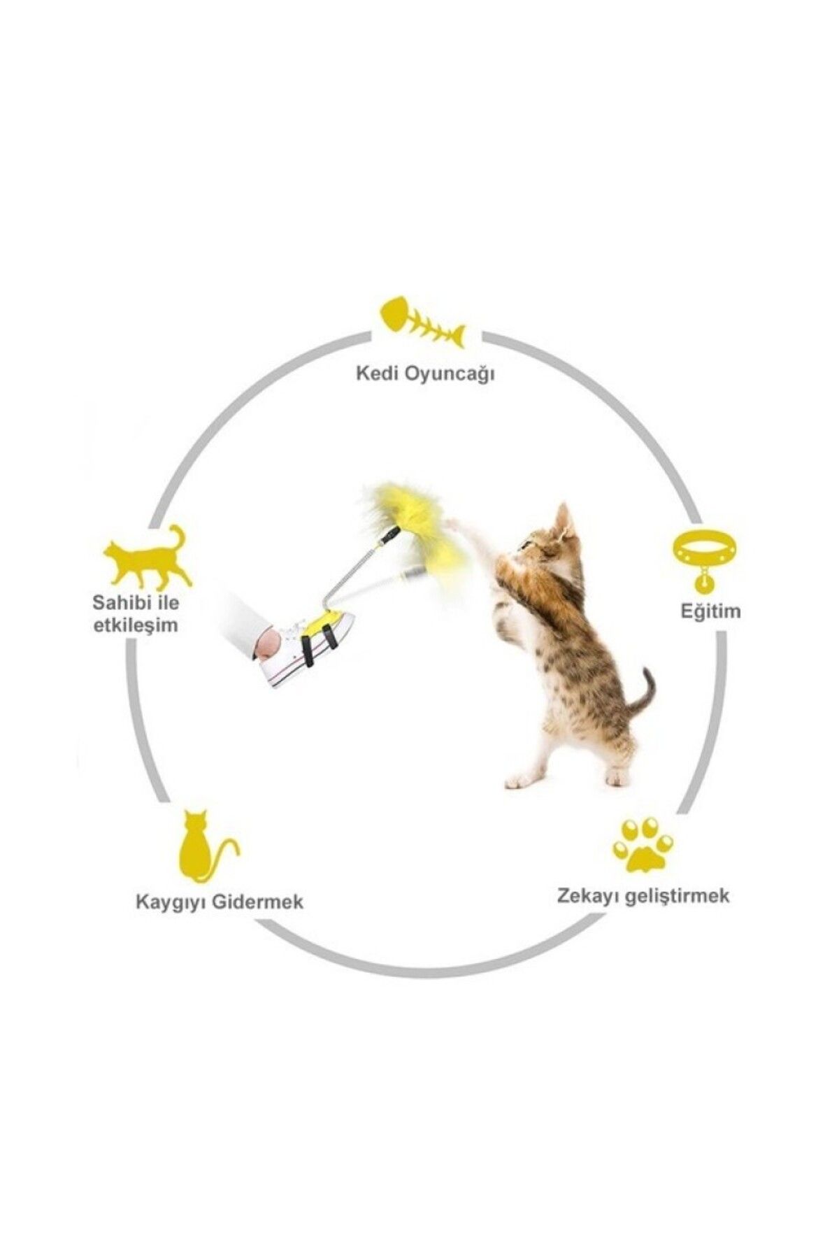 KEDİME Kedi oltası oyunu