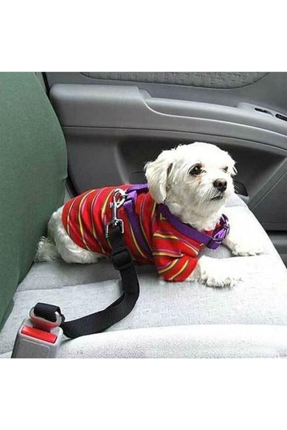 ShopZum Köpek Emniyet Kemeri Ve Gezdirme Tasması - Tüm Araçlara Uyumlu - Köpek Araba Seyahat Kemeri