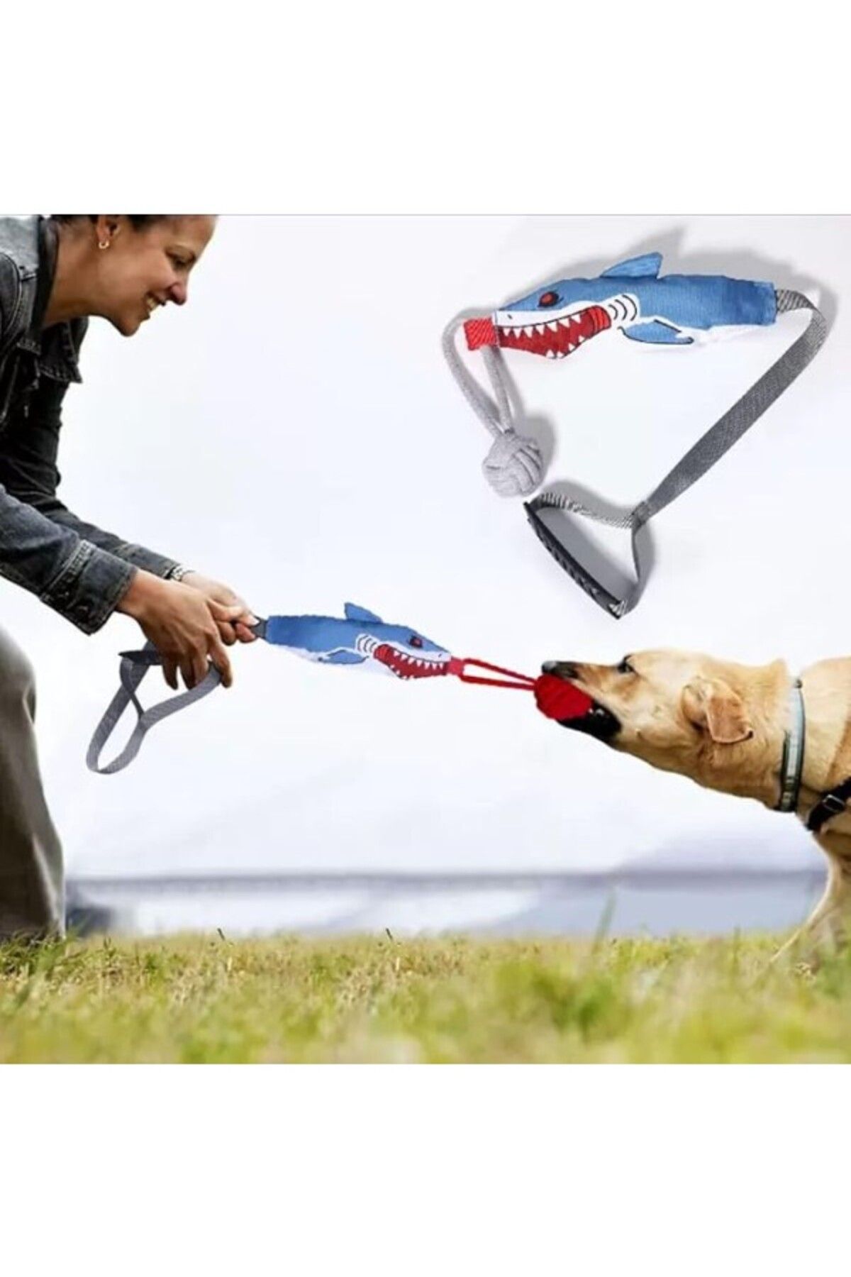 ShopZum Sesli Halat Köpek Oyuncağı – Dayanıklı Çiğneme &Amp; Çekiş Oyuncağı | Köpek Balığı Şekilli, Stres