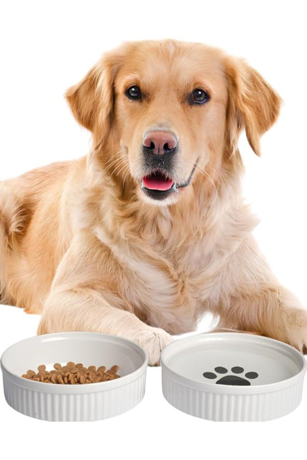 ShopZum Aee® 2&apos;li Doğal Hijyenik Fırınlanmış Seramik Köpek Mama Ve Su Kabı Seti