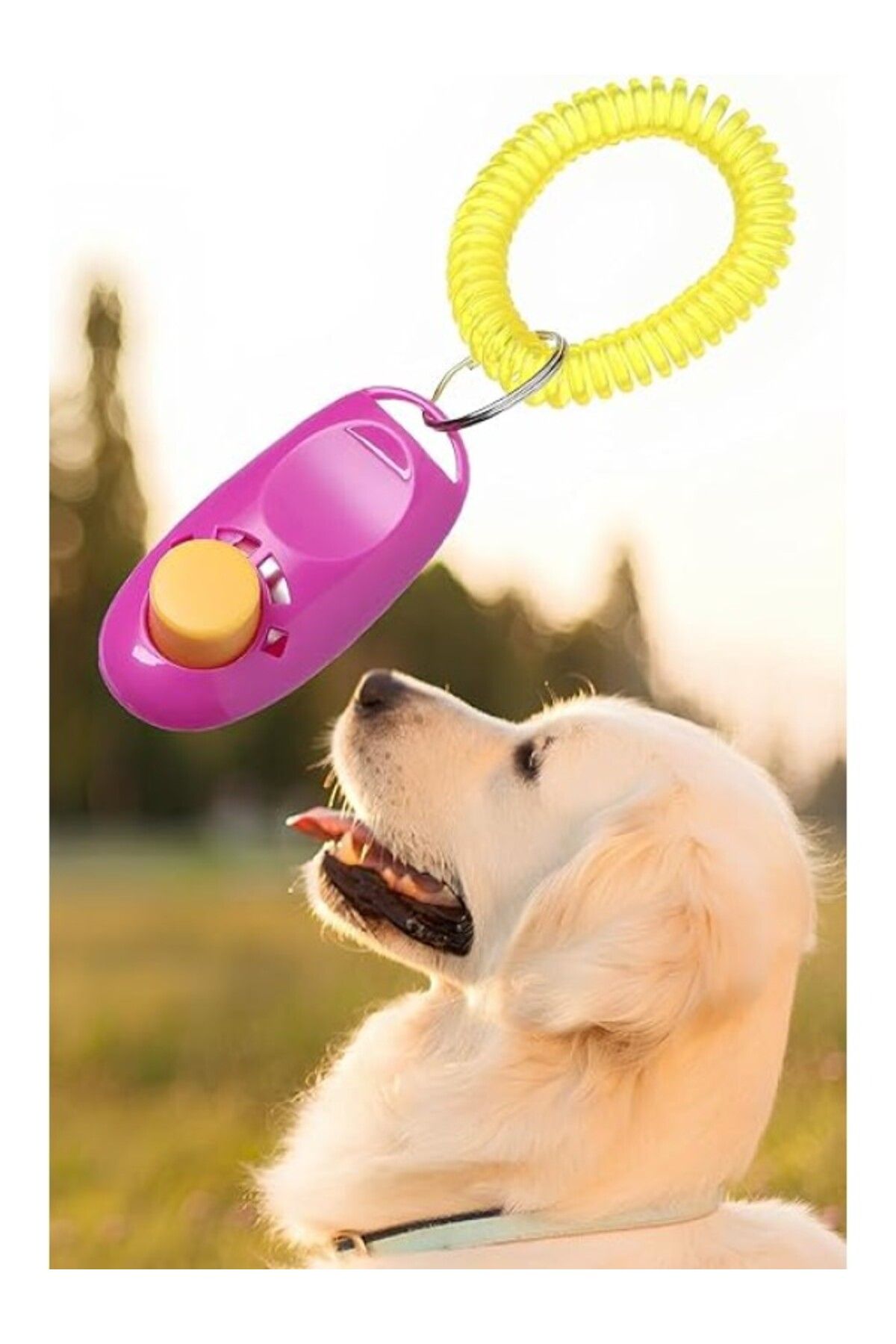 ShopZum Mobee Köpek Eğitim Clicker Tasma Tuvalet Eğitimi İçin Kullanılabilir Köpek Eğitim Aparatı