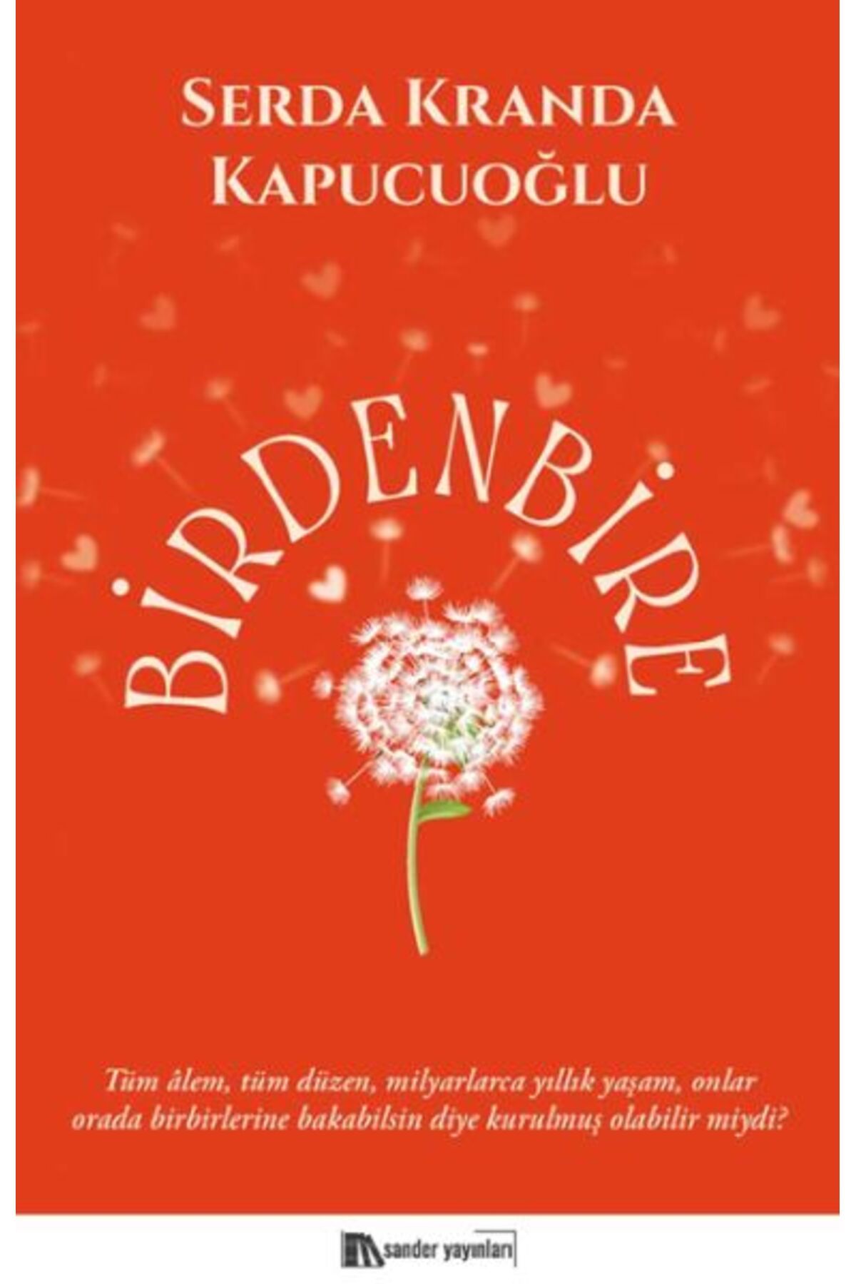 Sander Yayınları Birdenbire