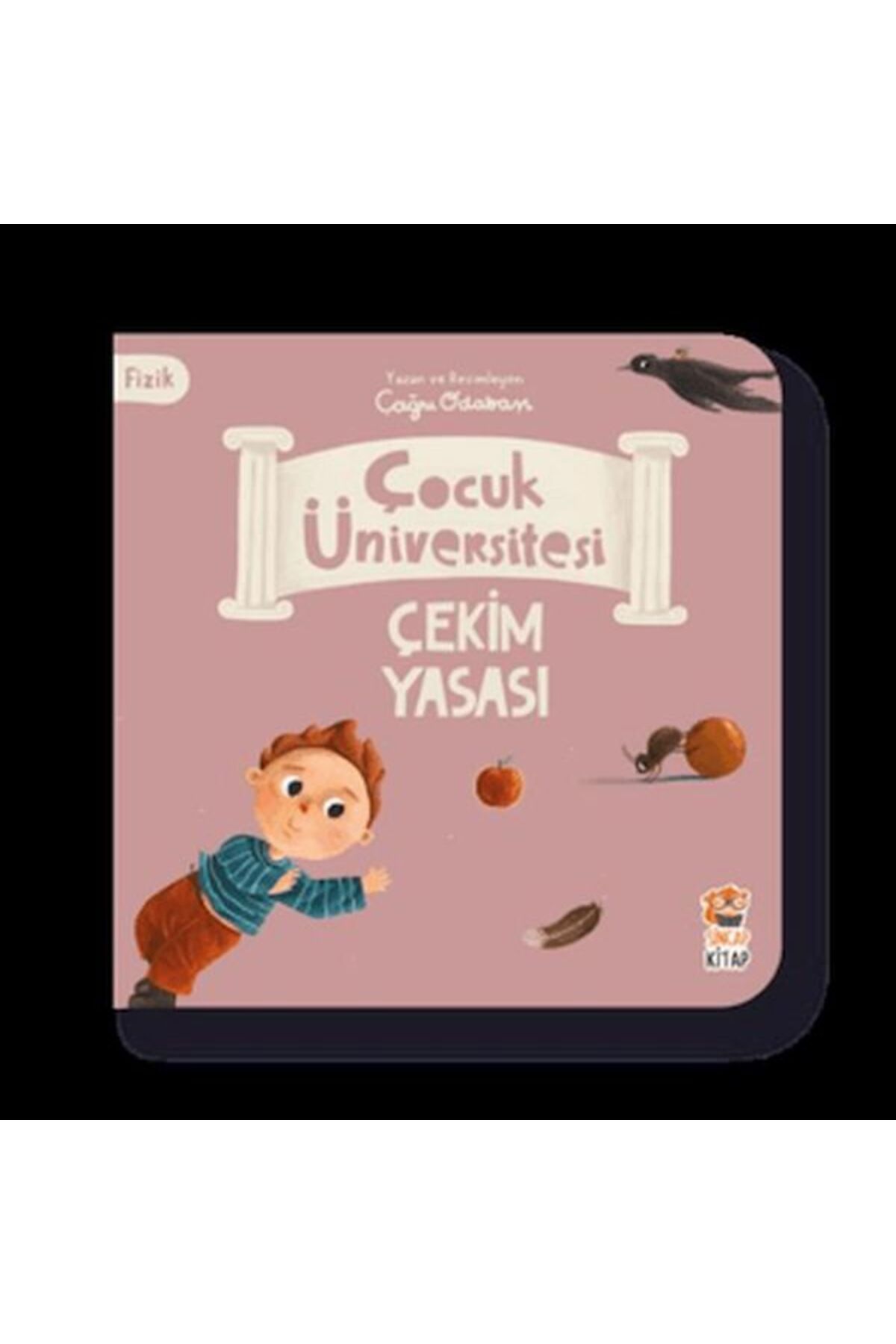 Genç Timaş Çocuk Üniversitesi Fizik -Çekim Yasası