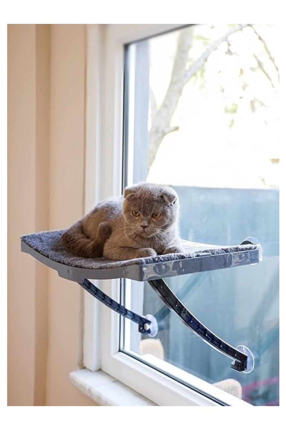 ShopZum Yeni Model Cam Ve Duvar Için Kedi Yatağı Vantuzlu