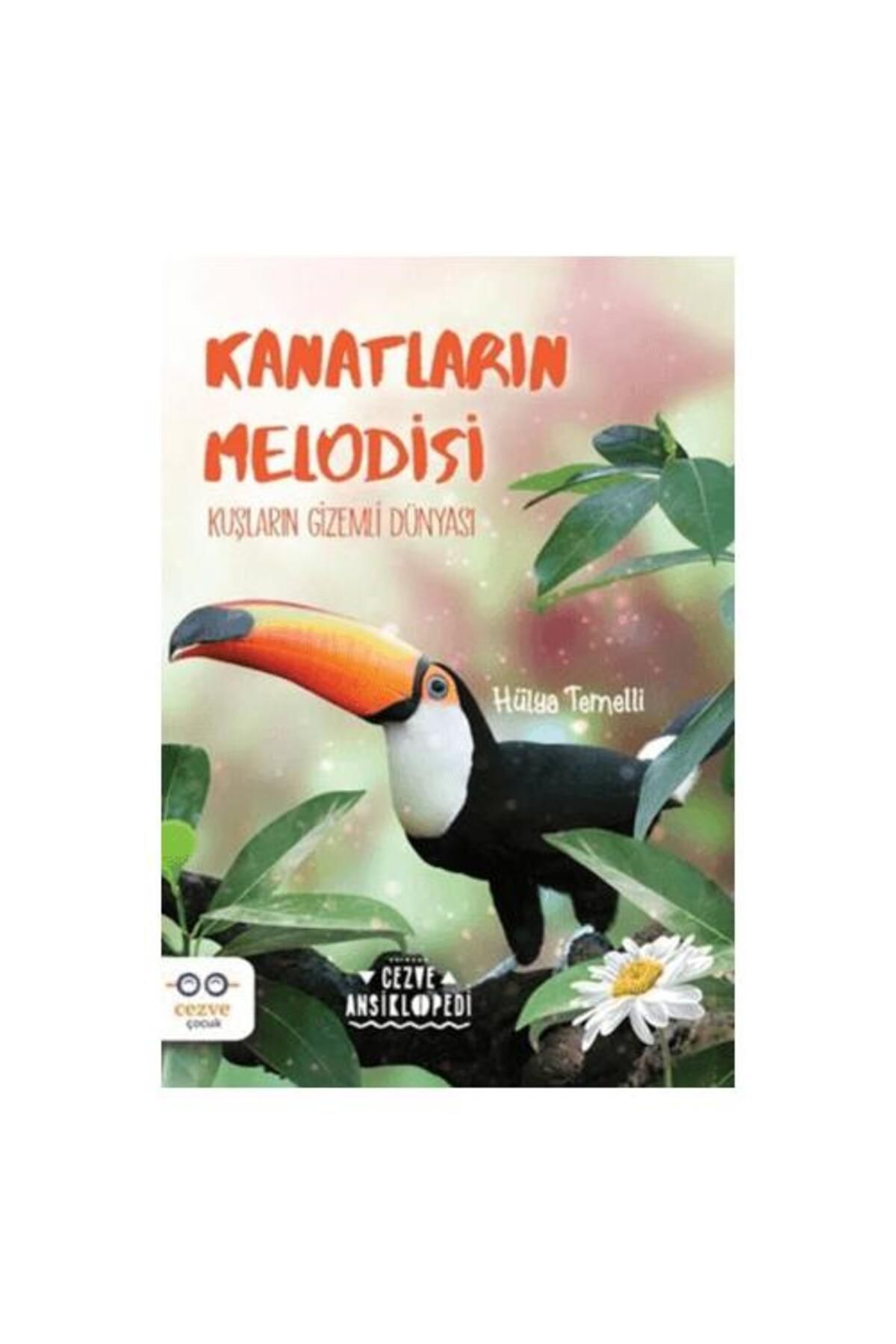 Cezve Çocuk Kanatların Melodisi