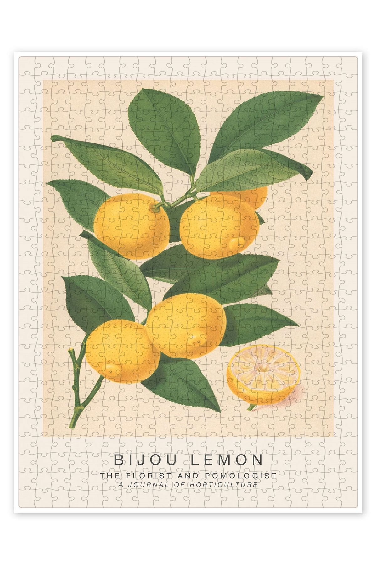 Jeronkarji Çiçekçi ve Pomolog - Bijou Limon 500 Parça Puzzle Yapboz Mutfak Temalı Yetişkinler için