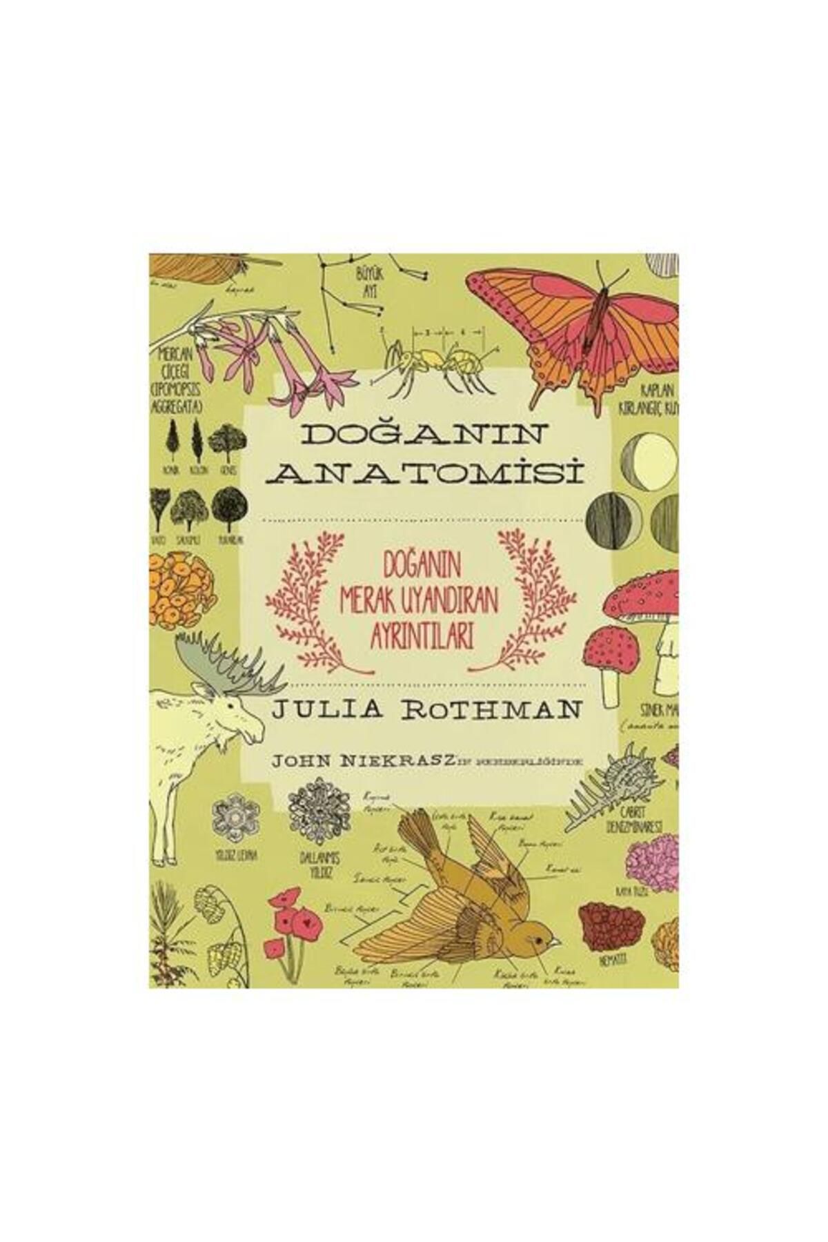 ODTÜ Geliştirme Vakfı Yayıncılık Doğanın Anatomisi