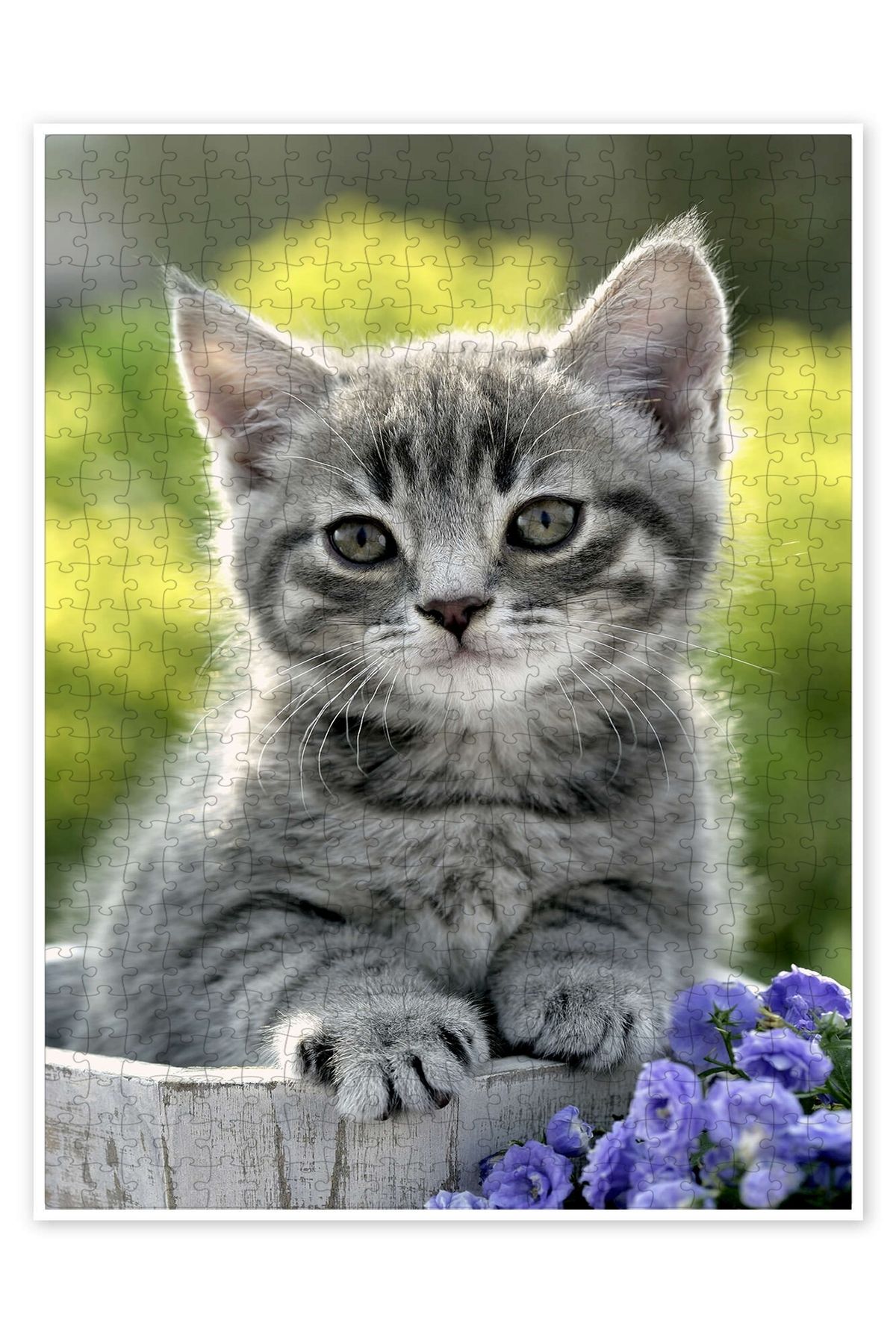 Jeronkarji Kediler kova 500 Parça Puzzle Yapboz Kedi Köpek Temalı Doğa ve Orman Hayvanları
