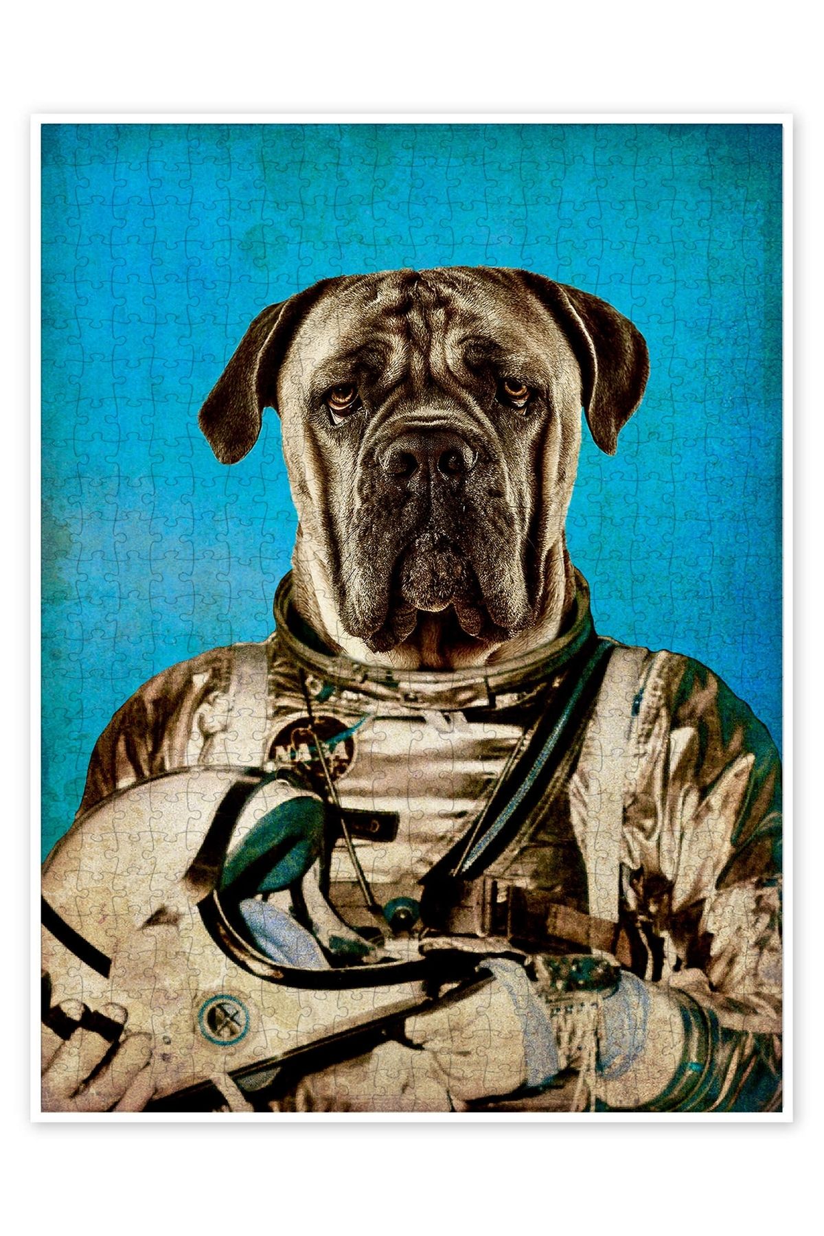 Jeronkarji Uzay Gezgini 500 Parça Puzzle Yapboz Kedi Köpek Temalı Doğa ve Orman Hayvanları