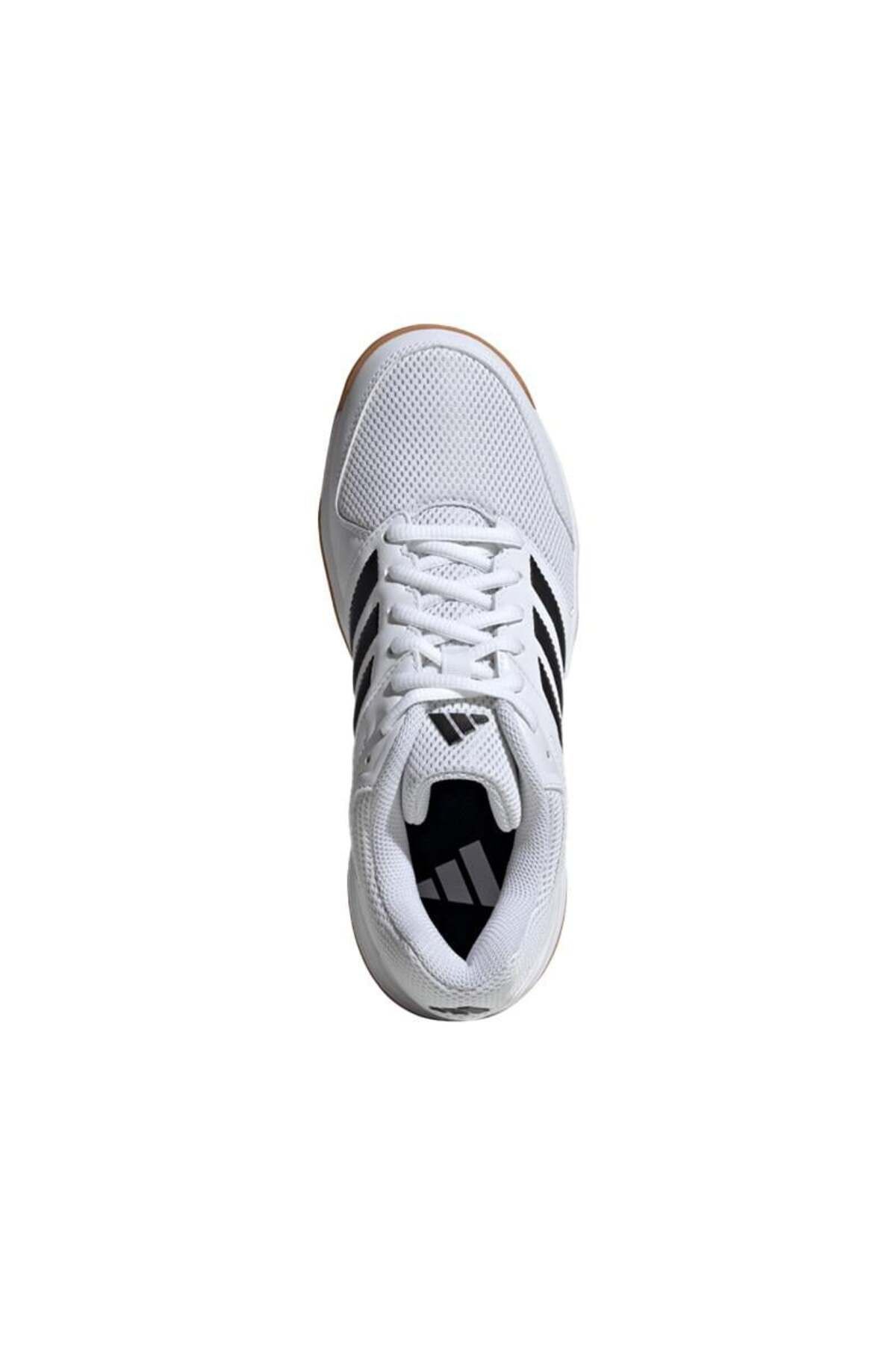 adidas-Speedcourt Indoor Shoes 2
