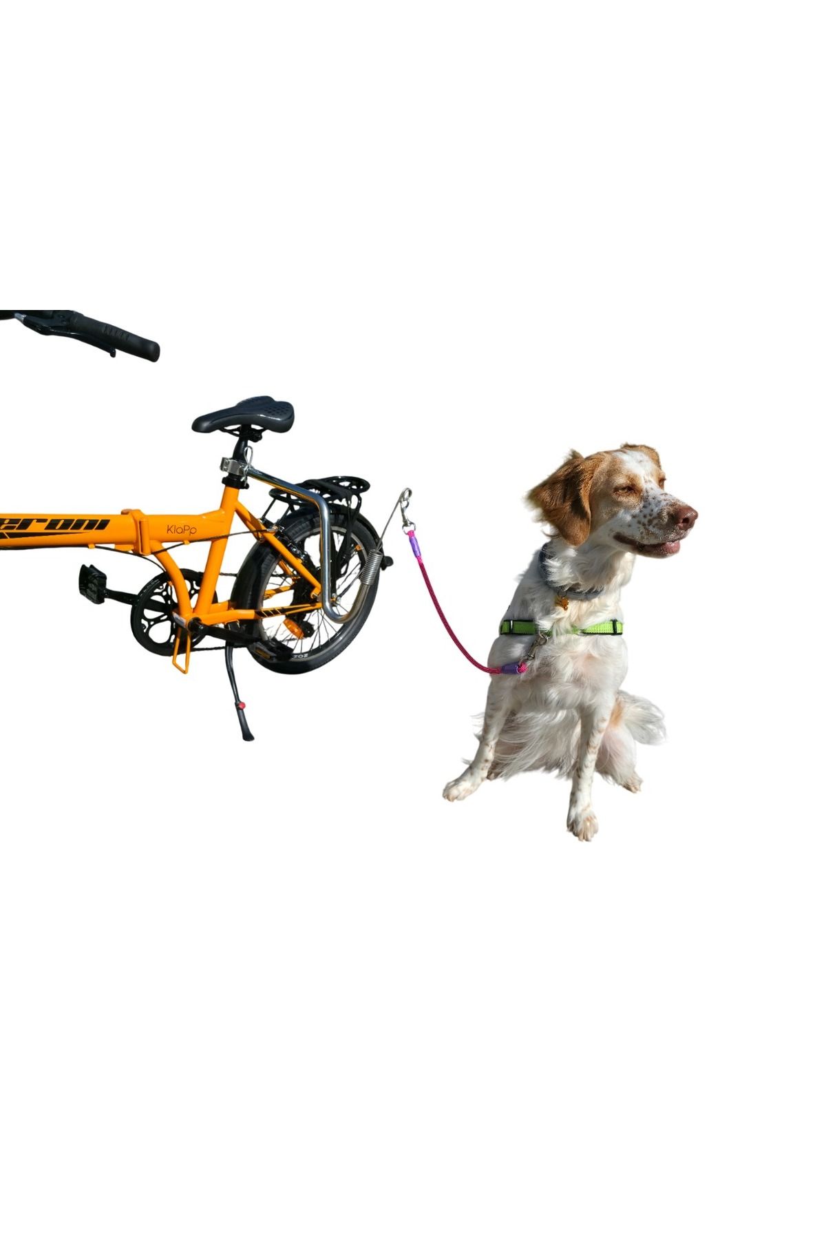 Linktail Köpek Bisiklet Aparatı