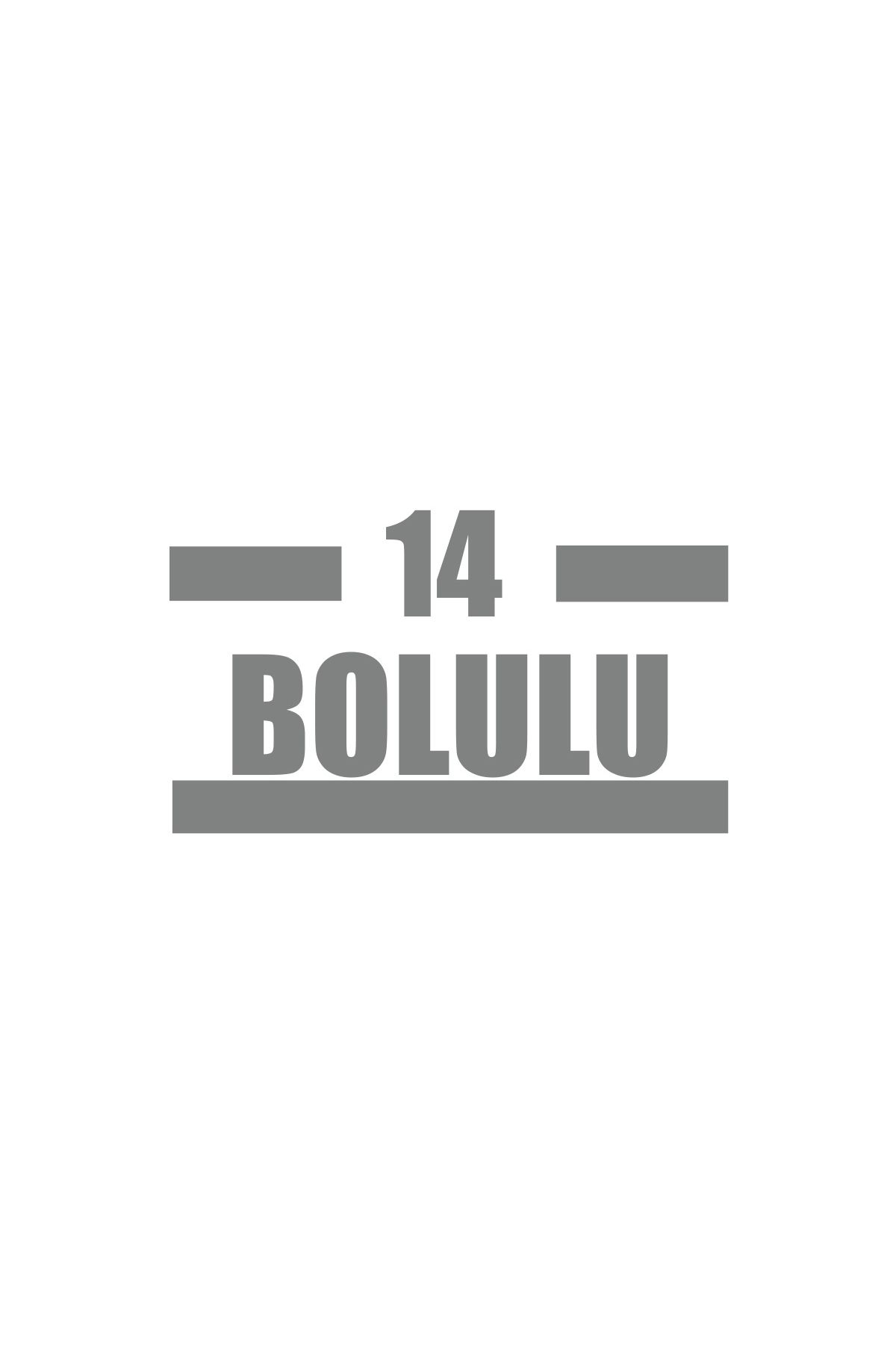 Reysa Tasarım 14 Bolulu Araba Sticker 17x17 Cm Gri