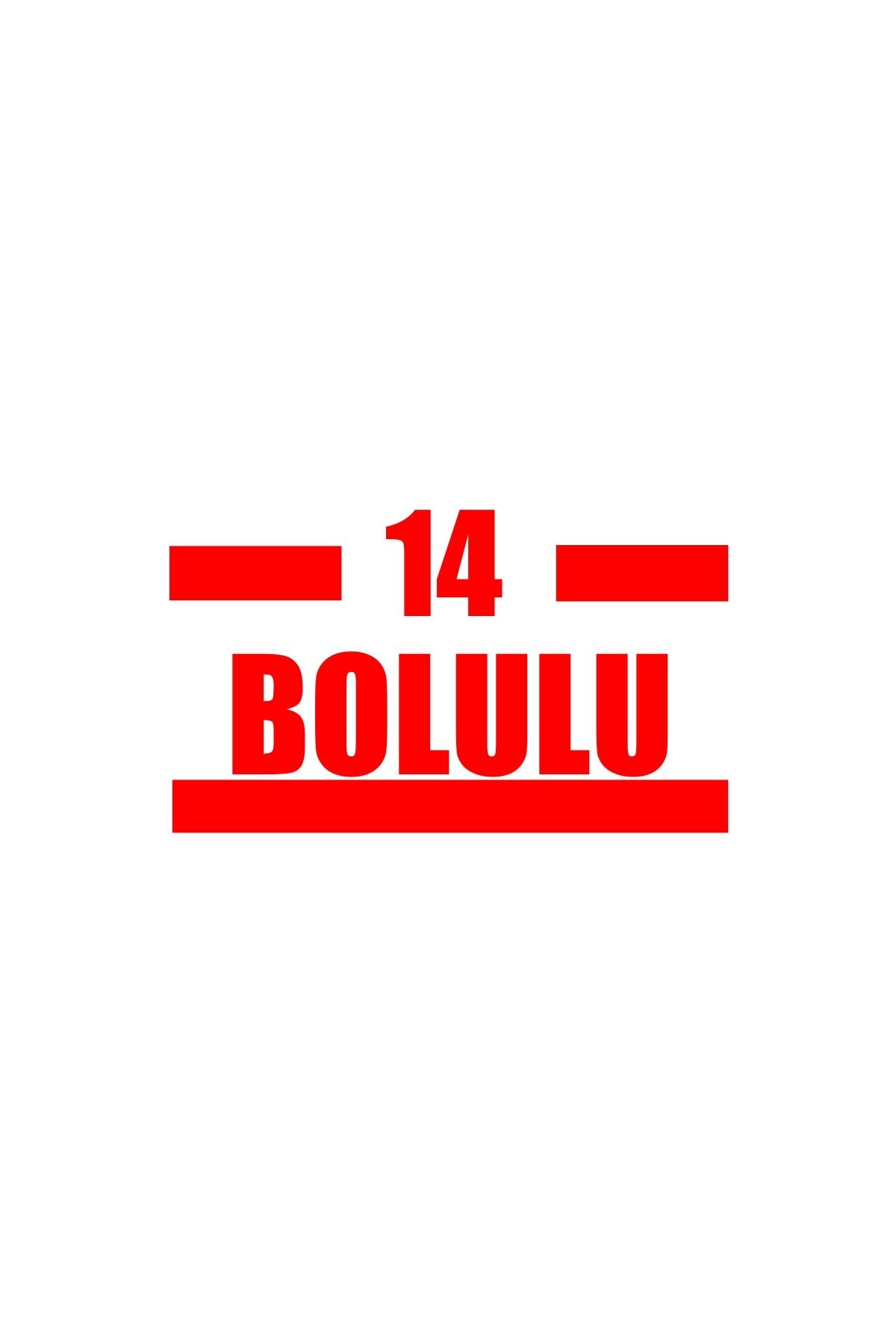 Reysa Tasarım 14 Bolulu Araba Sticker 17x17 Cm Kırmızı