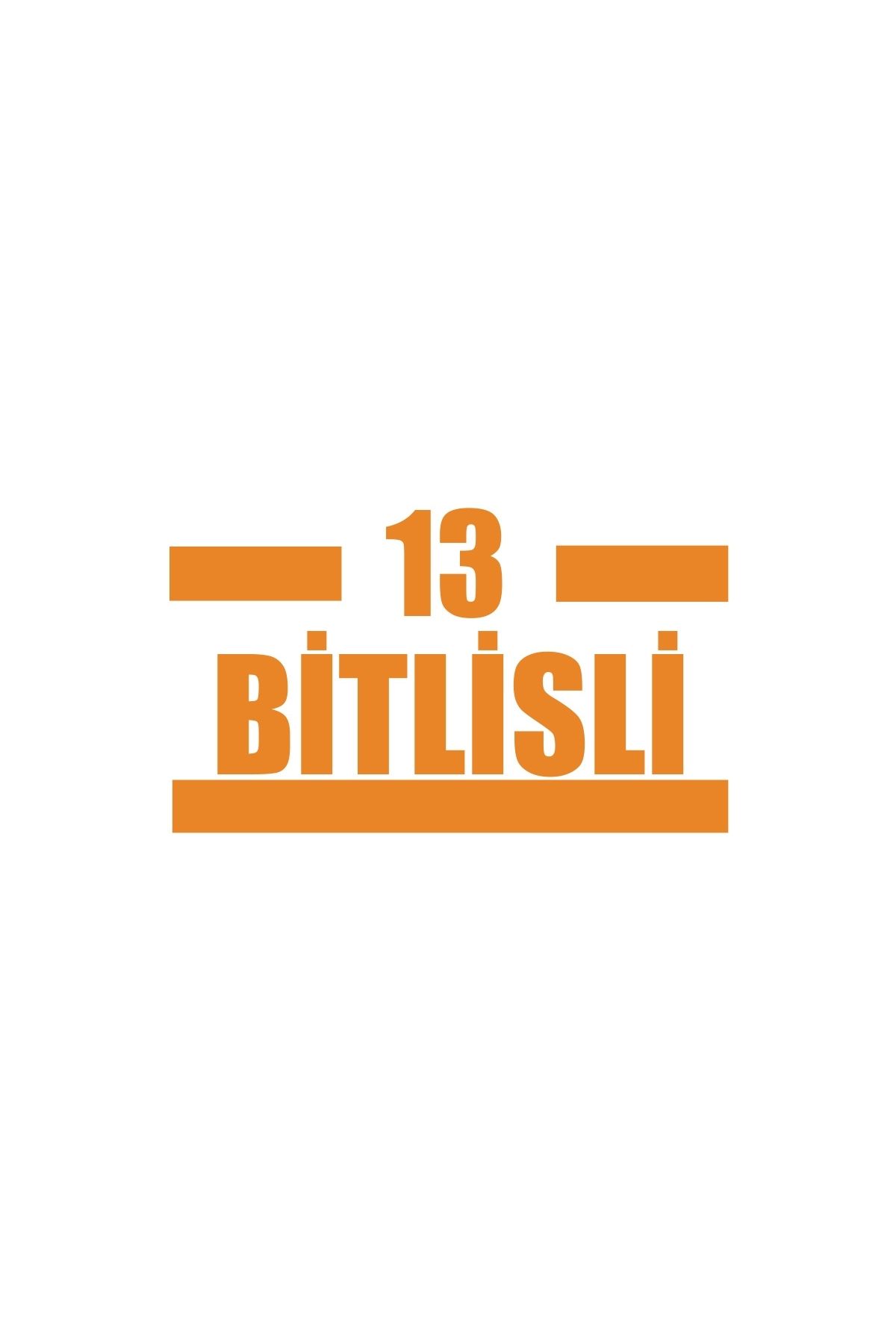 Reysa Tasarım 13 Bitlisli Araba Sticker 17x17 Cm Turuncu