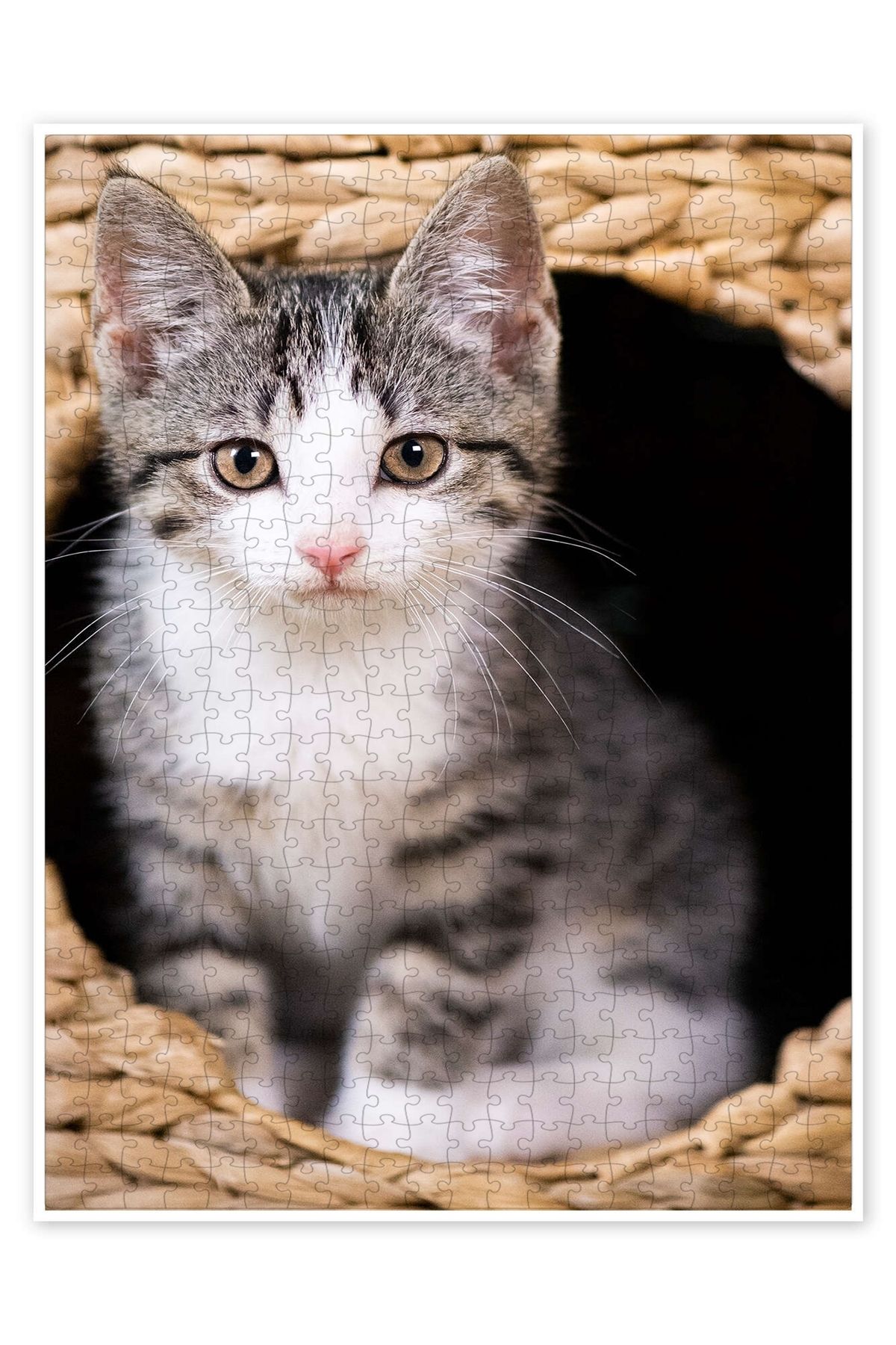Jeronkarji Küçük tekir kedi 500 Parça Puzzle Yapboz Kedi Köpek Temalı Doğa ve Orman Hayvanları