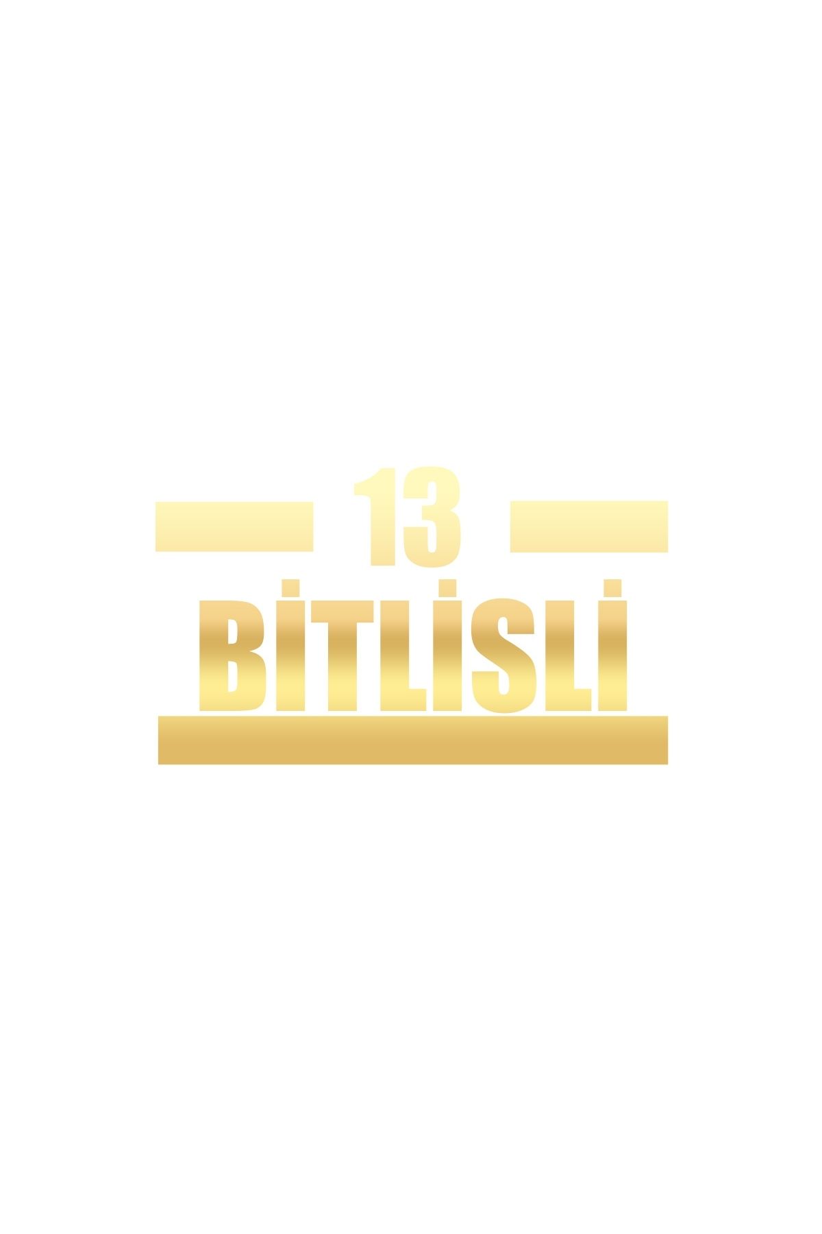 Reysa Tasarım 13 Bitlisli Araba Sticker 17x17 Cm Gold