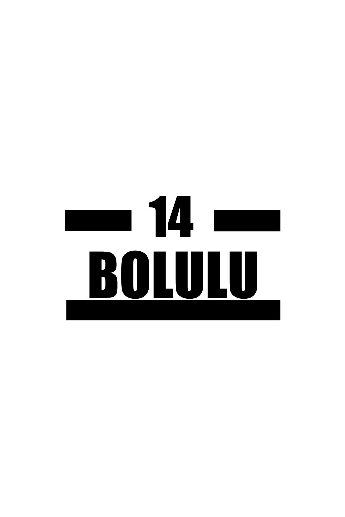 Reysa Tasarım 14 Bolulu Araba Sticker 17x17 Cm Siyah