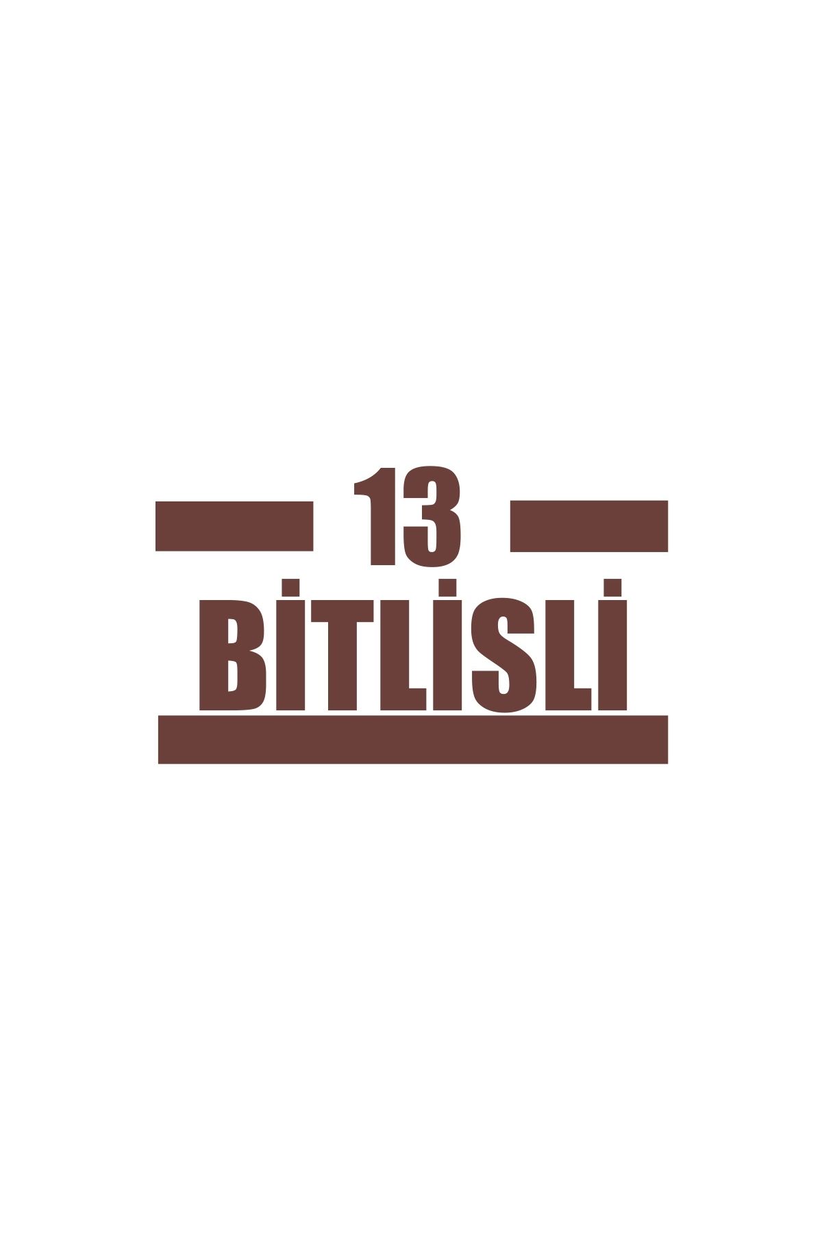 Reysa Tasarım 13 Bitlisli Araba Sticker 17x17 Cm Kahverengi