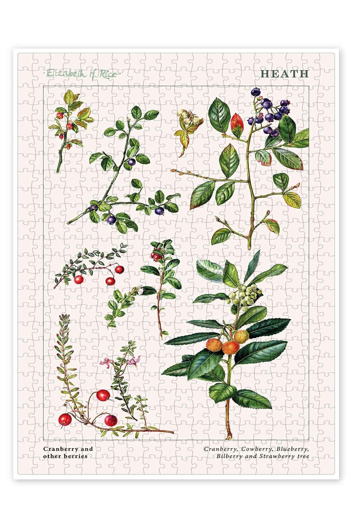 Jeronkarji Cranberry ve diğer meyveler 500 Parça Puzzle Yapboz Mutfak Temalı Yetişkinler için