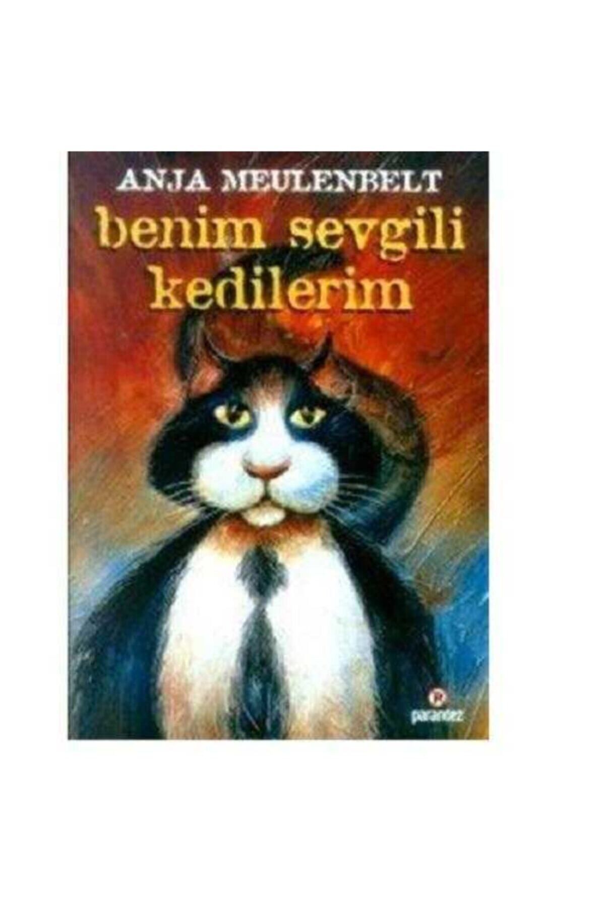 Literatürk Academia Benim Sevgili Kedilerim - Anja Meulenbelt (1997 Basım)