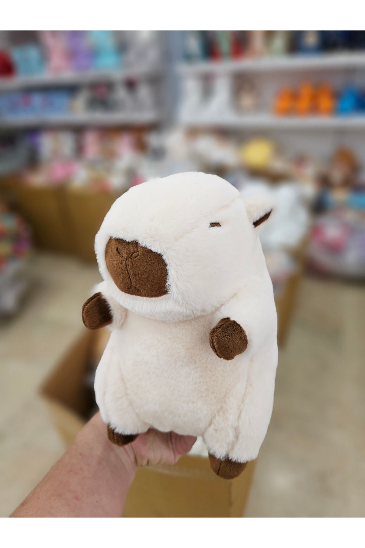 YıldızDükkan Peluş 22 cm Capibara Capybara Oyuncak Hediyelik