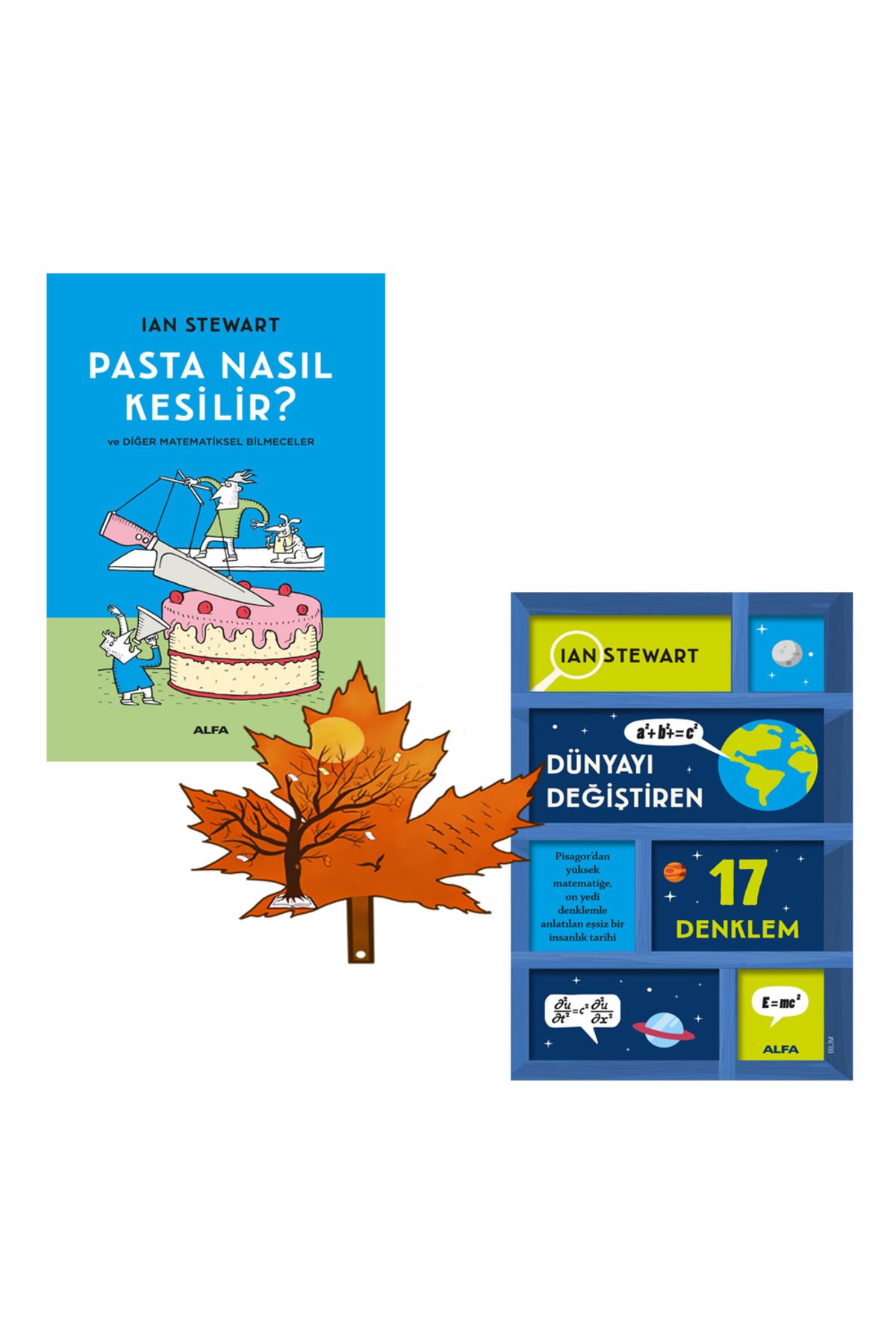 Alfa Yayınları Ian Stewart - pasta nasıl kesilir - dünyayı değiştiren 17 denklem - 2 kitap ve kitap ayracı