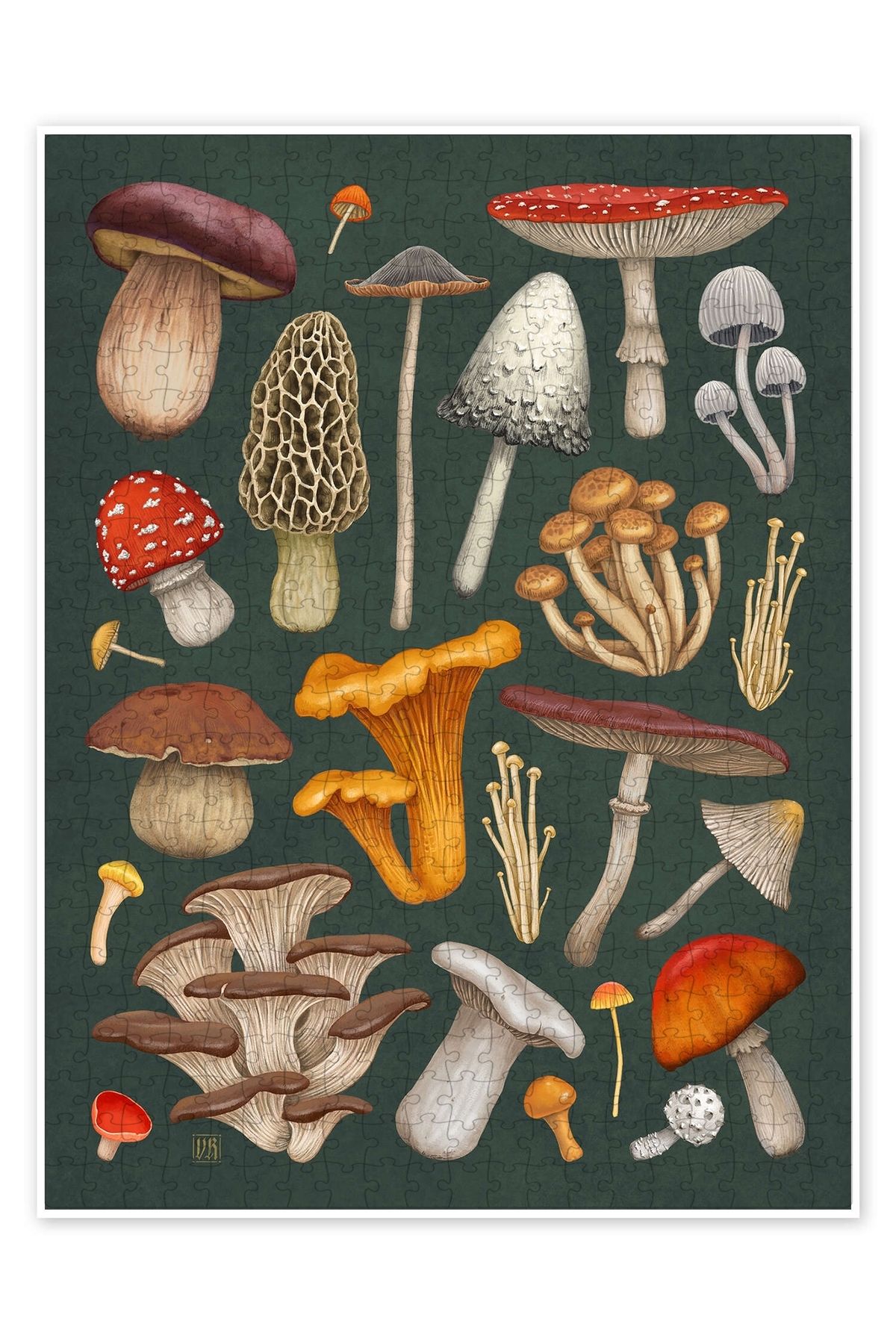 Jeronkarji Mantar 500 Parça Puzzle Yapboz Mutfak Temalı Yetişkinler için