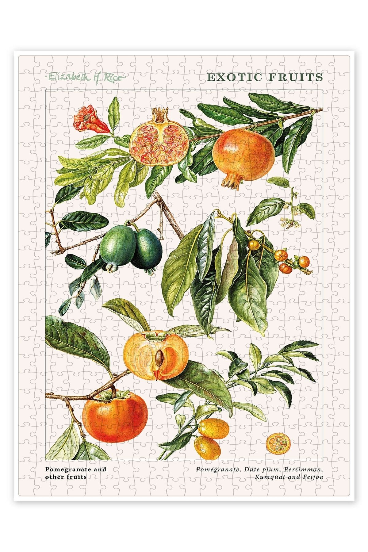 Jeronkarji Nar ve diğer meyveler 500 Parça Puzzle Yapboz Mutfak Temalı Yetişkinler için
