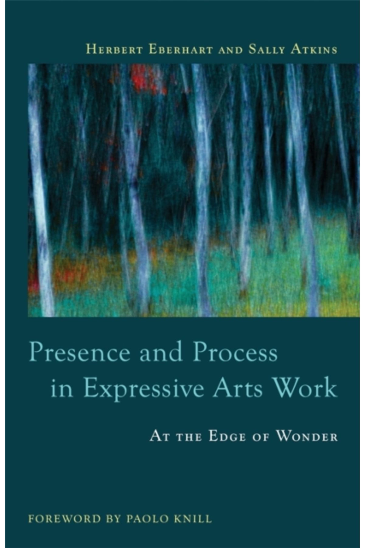 Pandora Kitabevi Presence and Process in Expressive Arts Work: At the Edge of Wonder