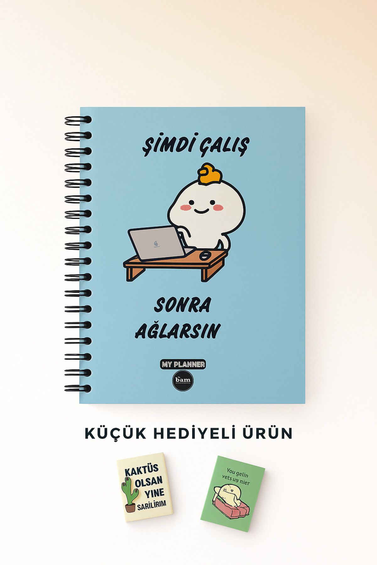 HEY GİDİ GİFT Sevimli Mini Defter Hediyeli Konuşan Ajanda / Stickerli Ajanda / Haftalık Planlayıcı,Günlük