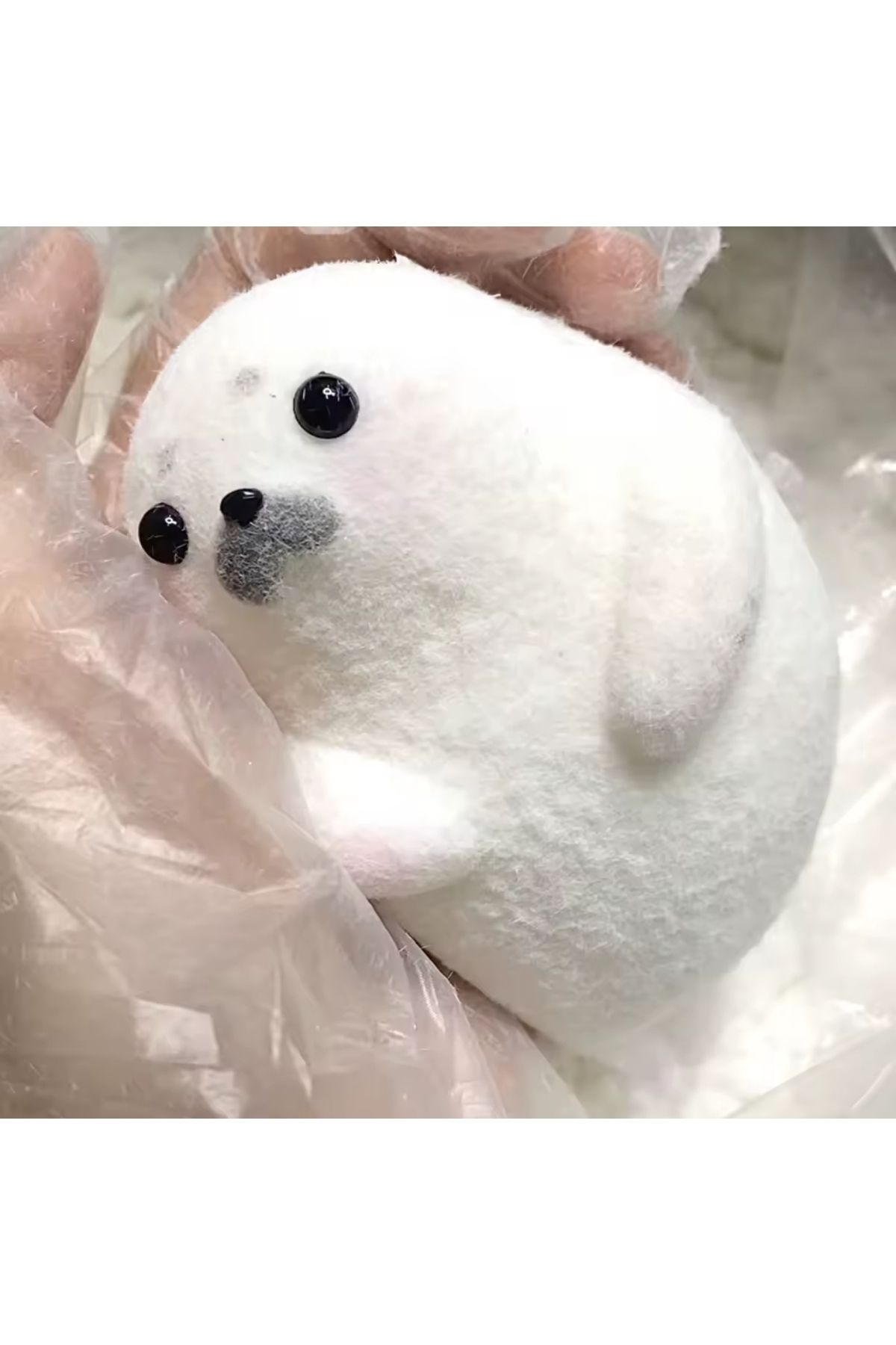 NB market Fok balığı Sukuşi Yumoş Jel Stres Oyuncağı fok Squishy Elastik Kedi Patisi Taba