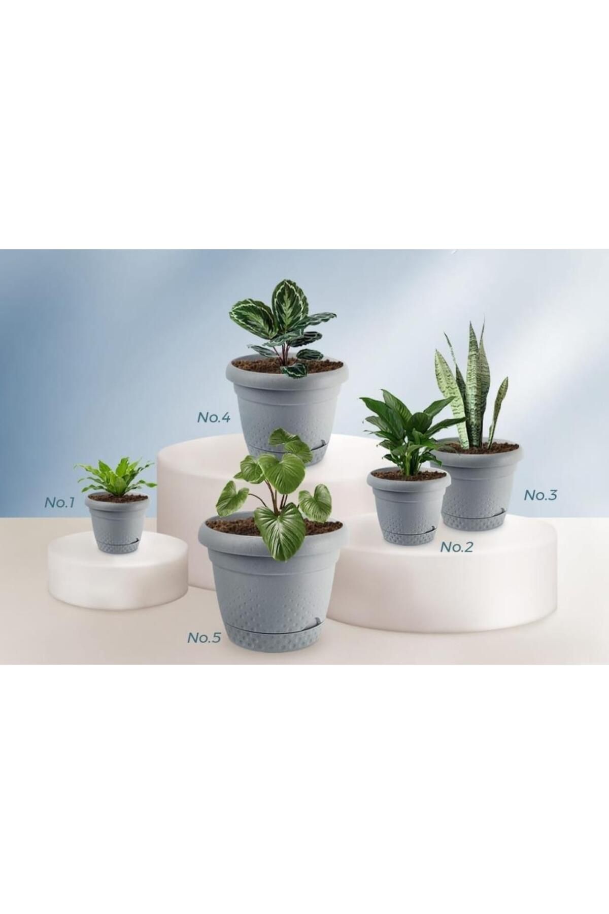 Omnipazar KRS Dekoratif İnci Bitki Çiçek Saksı Takımı 5'li Set Gri