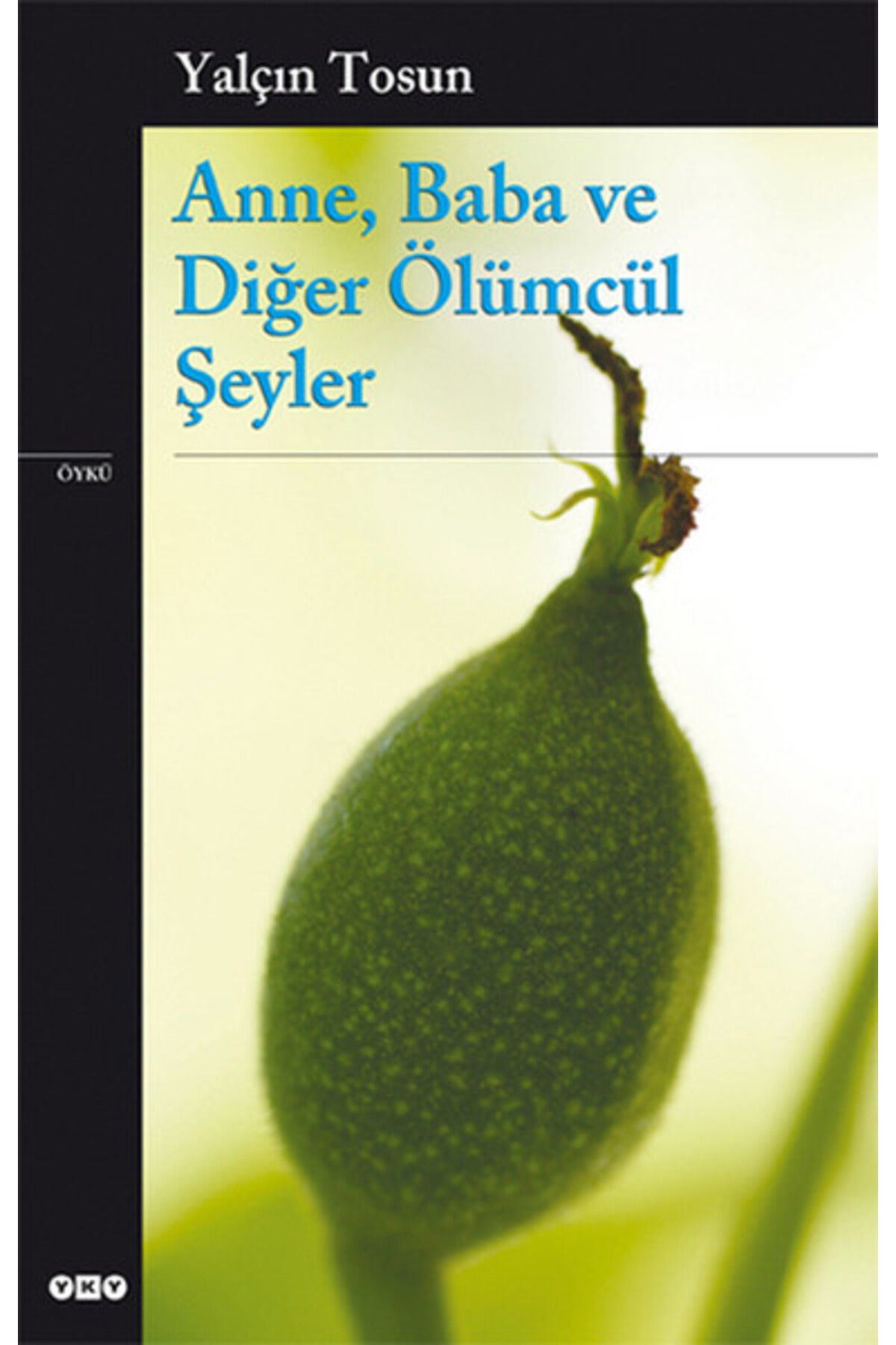 Yuva Yayınları Anne, Baba ve Diğer Ölümcül Şeyler