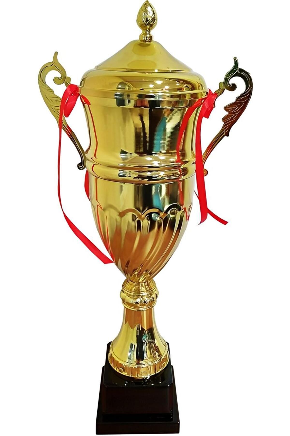 alsepeteavm AVESSA KUPA MODEL 3008 A KAPAKLI 60 CM (12)