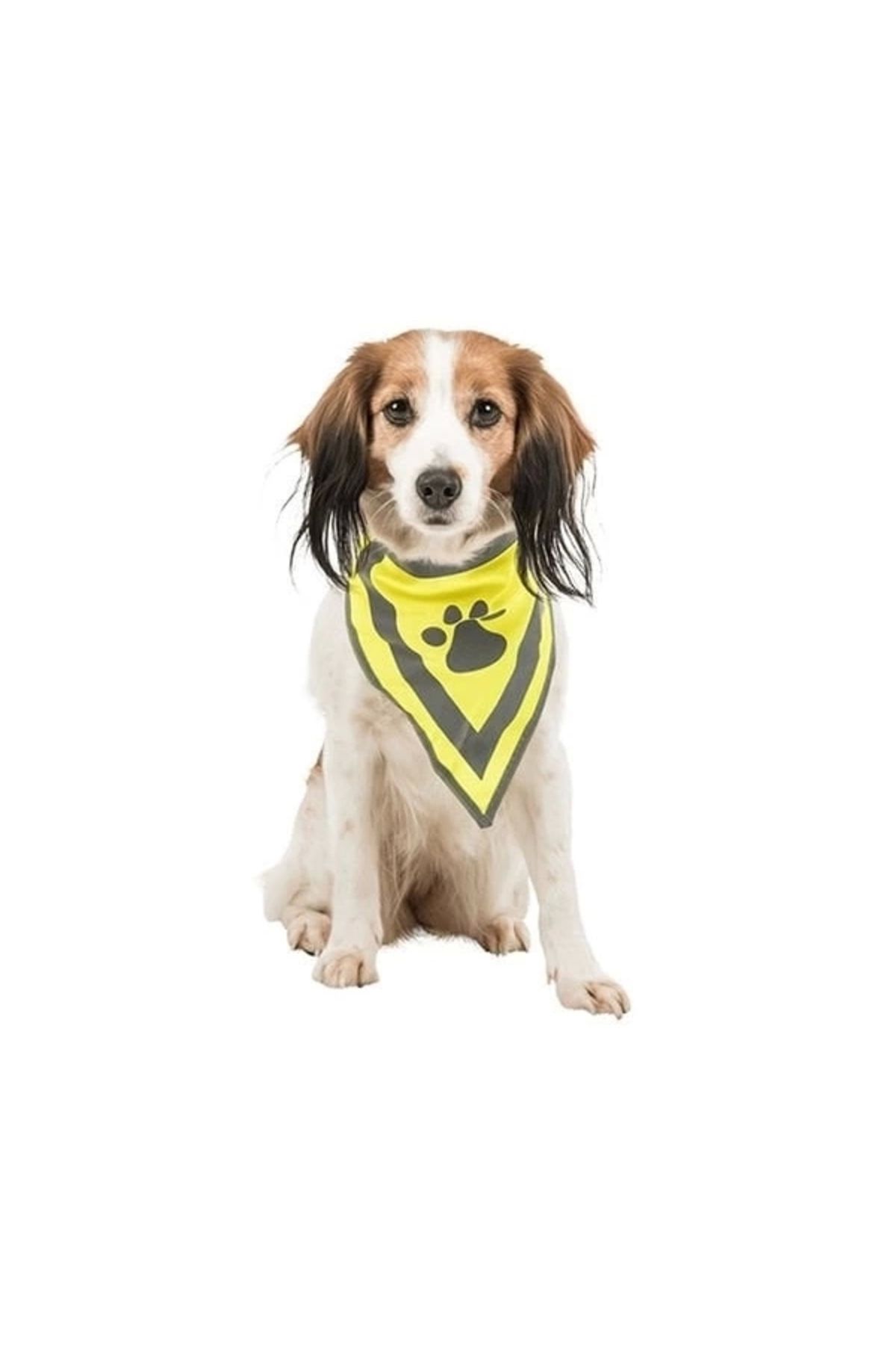 thebestnzm Trixie Köpek Bandanalı Tasma Small 22-28 Cm