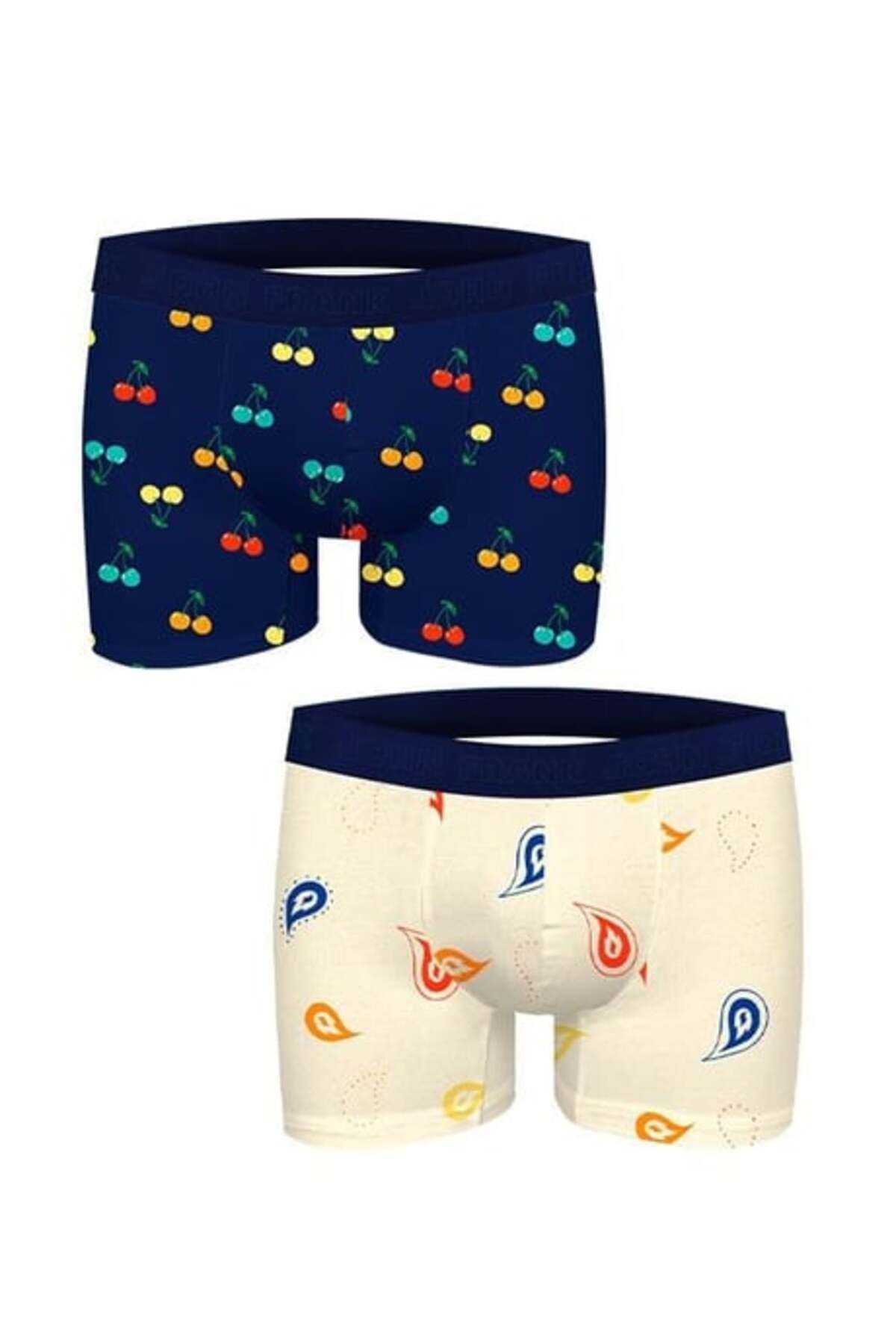 John Frank 2'li Erkek Boxer JF2BFUN07