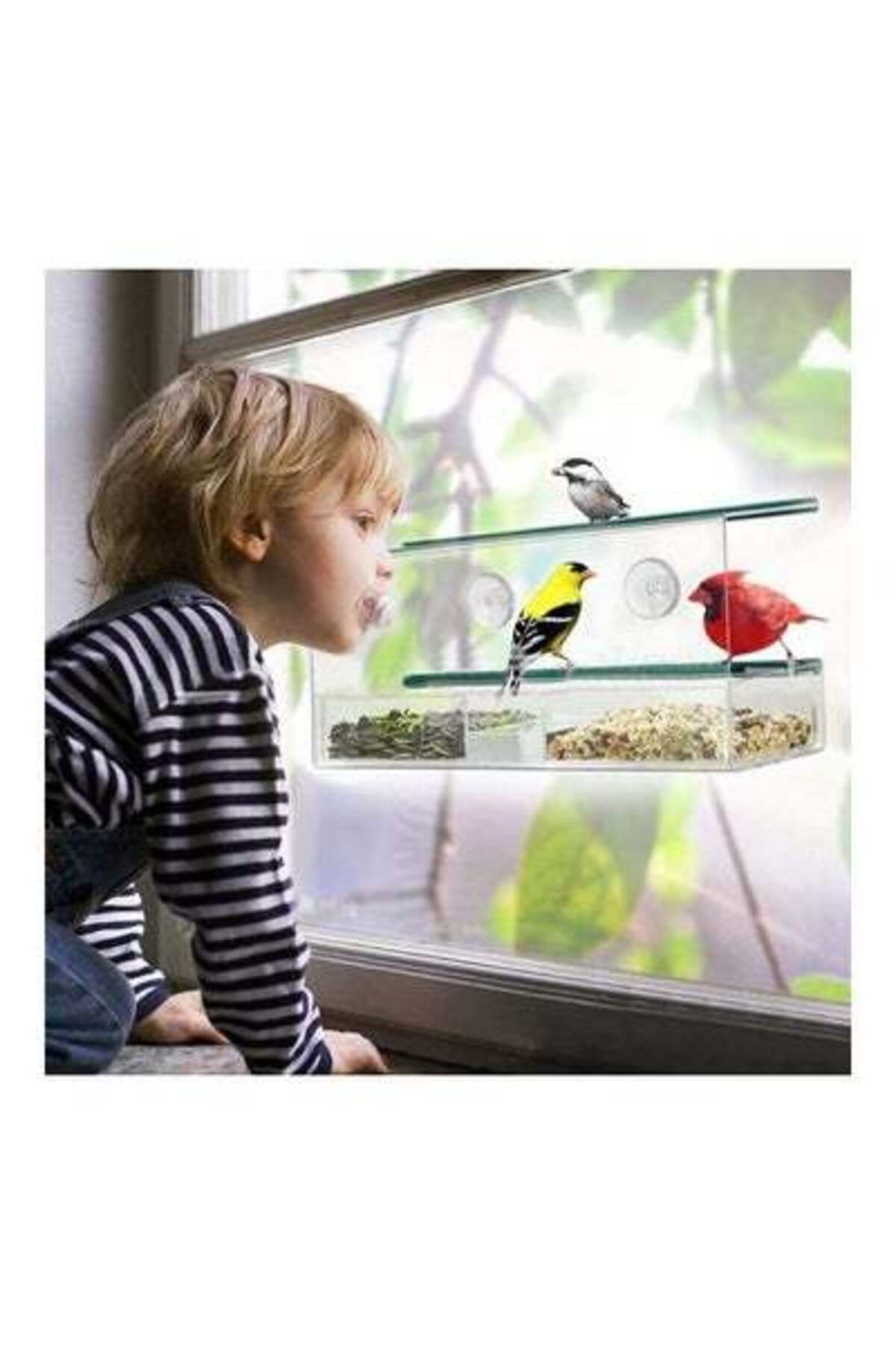 HALAMODO-Acrylic Bird Feeder with Seed Tray Clear 4