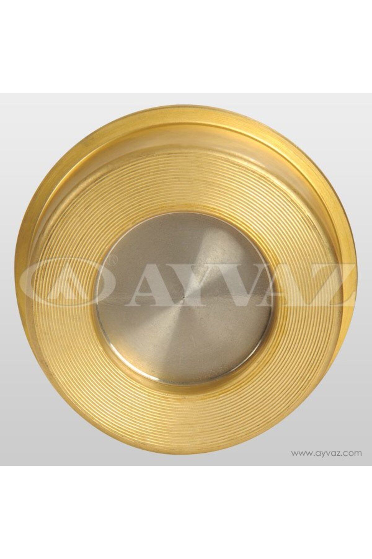 AYVAZ ÇEKVALF DİSCO PRİNÇ DN 40 ÇV-10/P