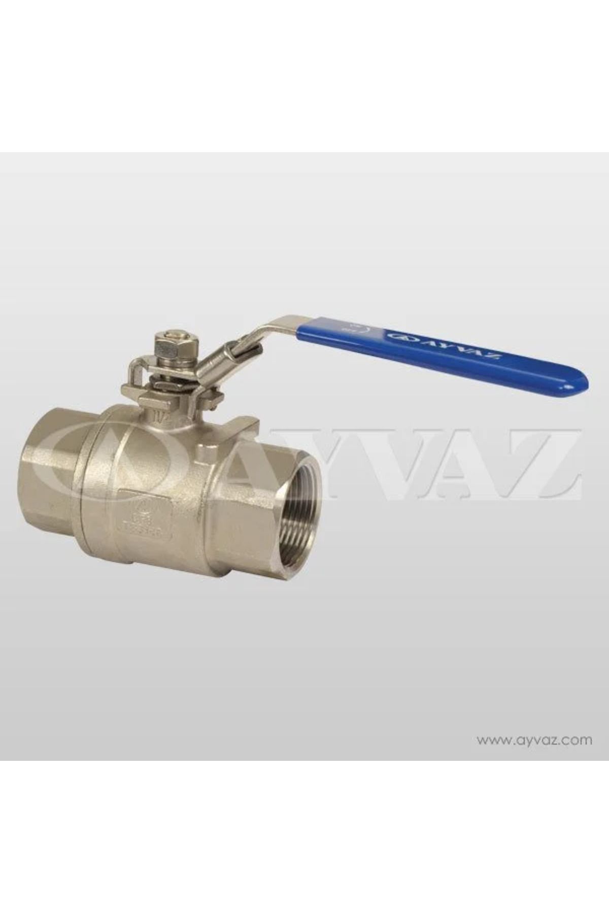 AYVAZ KÜRESEL VANA PASL 2 PRÇ.PN63 2'' V-2T 304