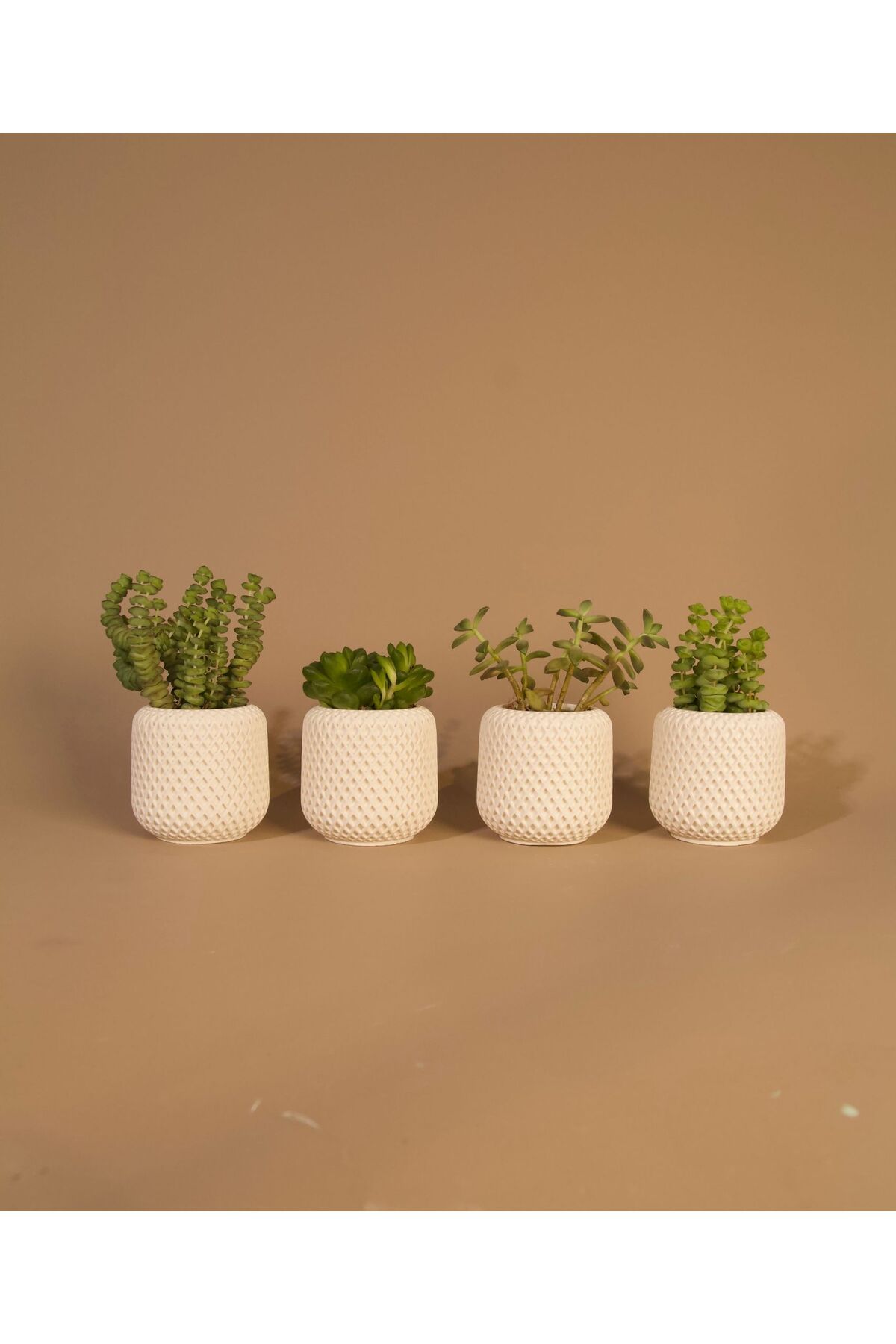 Lea Concept Mini Dörtlü Sukulent Saksı - El Yapımı Beton - Beyaz - Minimal Dekoratif