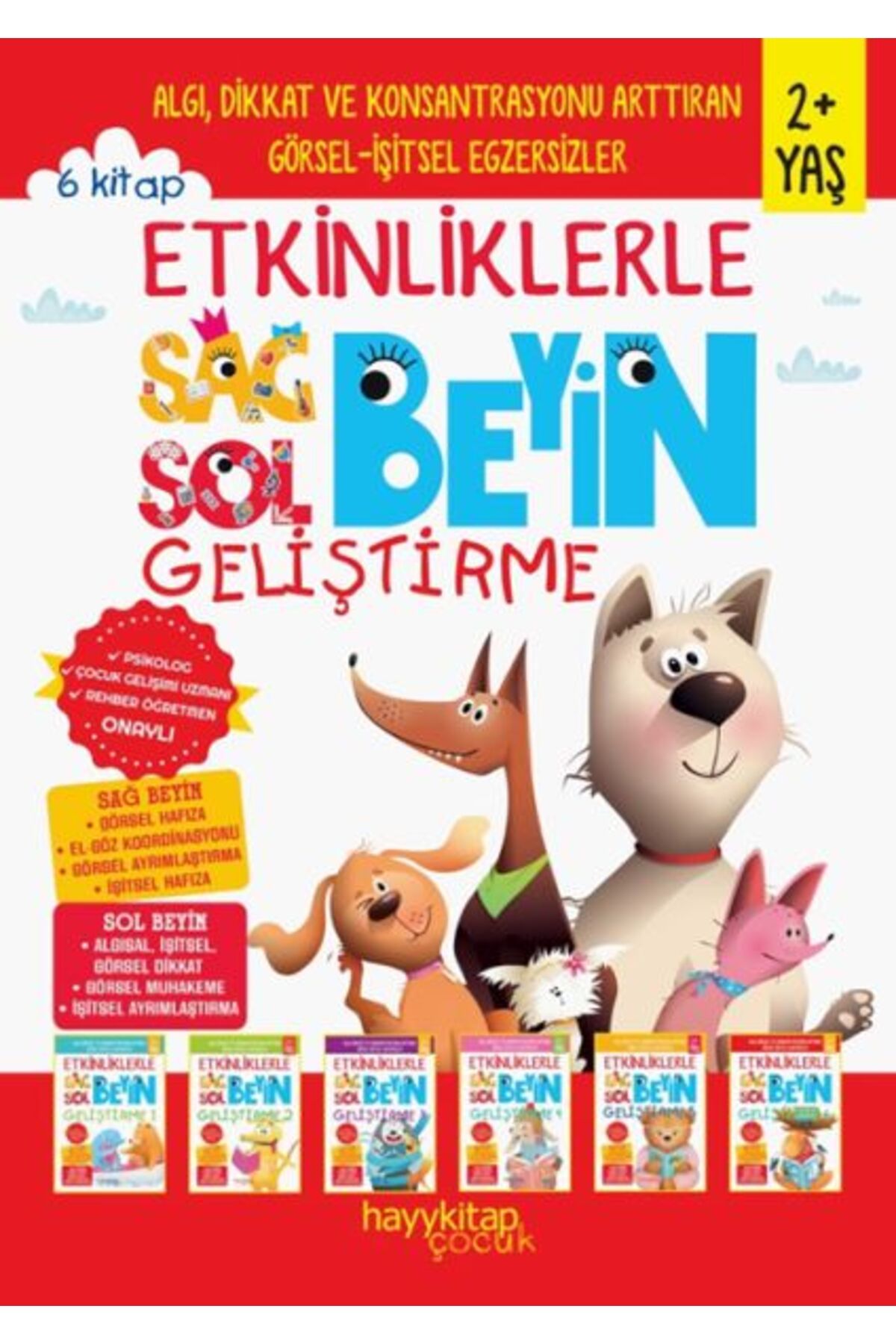 hayykitap Etkinliklerle Sağ Beyin Sol Beyin Geliştirme (2+ Yaş) 6’lı Set