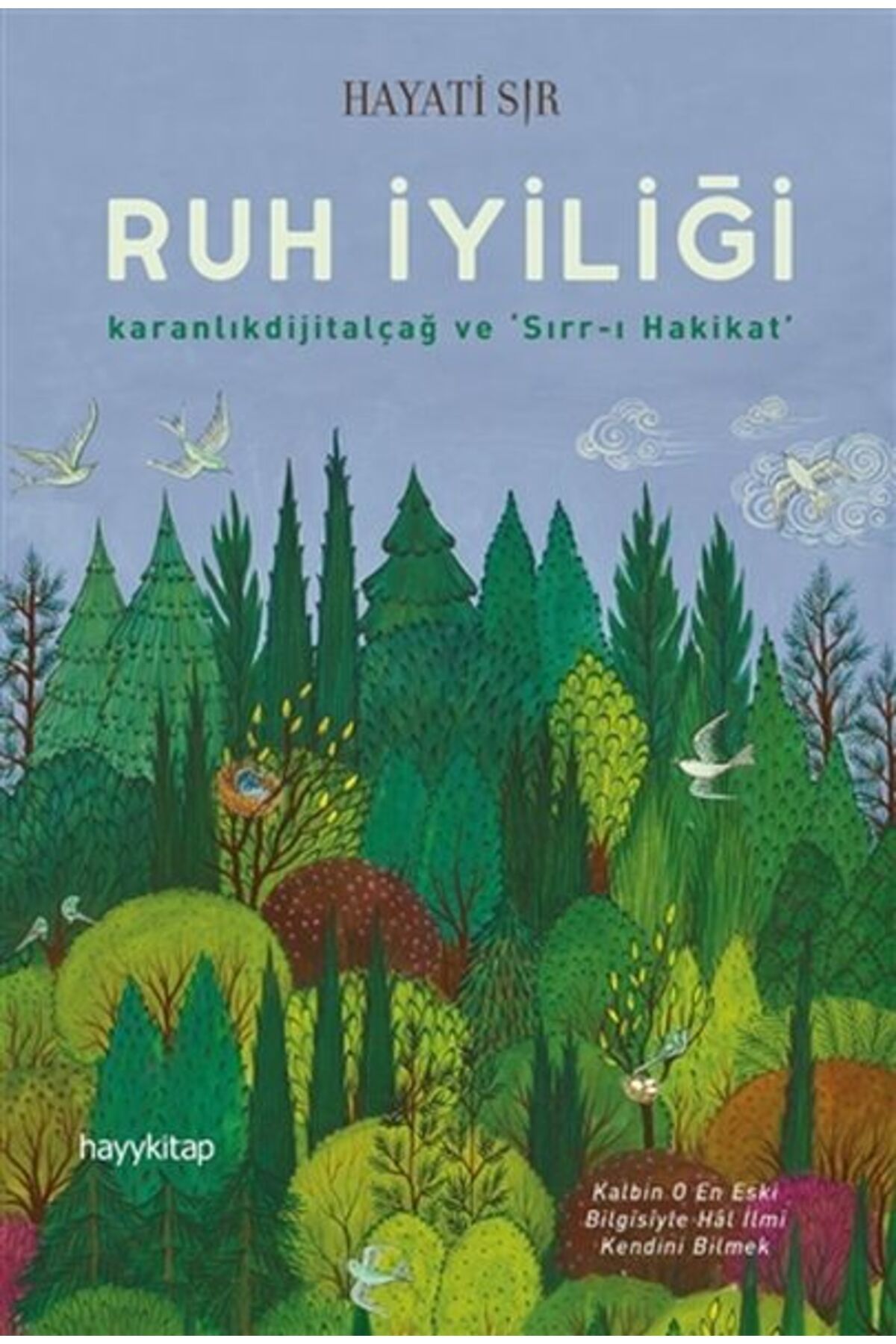 hayykitap Ruh İyiliği - Karanlıkdijitalçağ ve Sırrı Hakikat