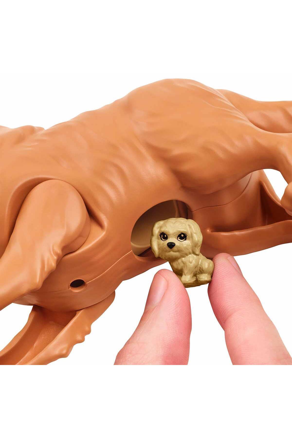 Barbie Ve Hayvan Dostları Hck75 fotoğrafı 6 (önizleme)