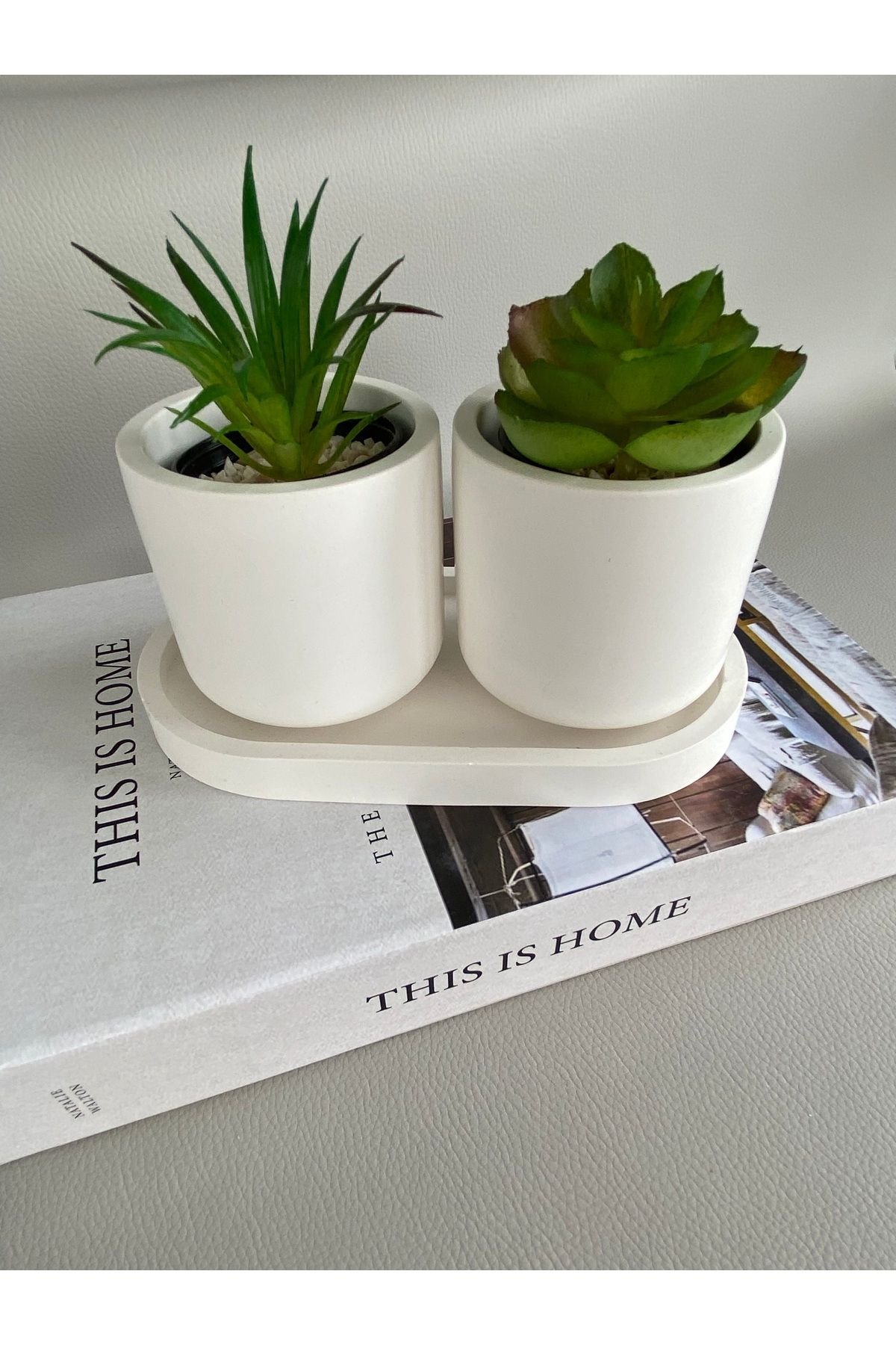 SELAR HOME DECOR Kaktüs sukulent için mini düz saksı seti 3 parça