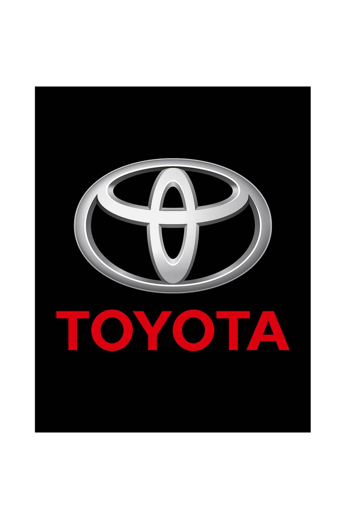 Z zepplin Toyata Text Logo Büyük Sırt Patch Yama
